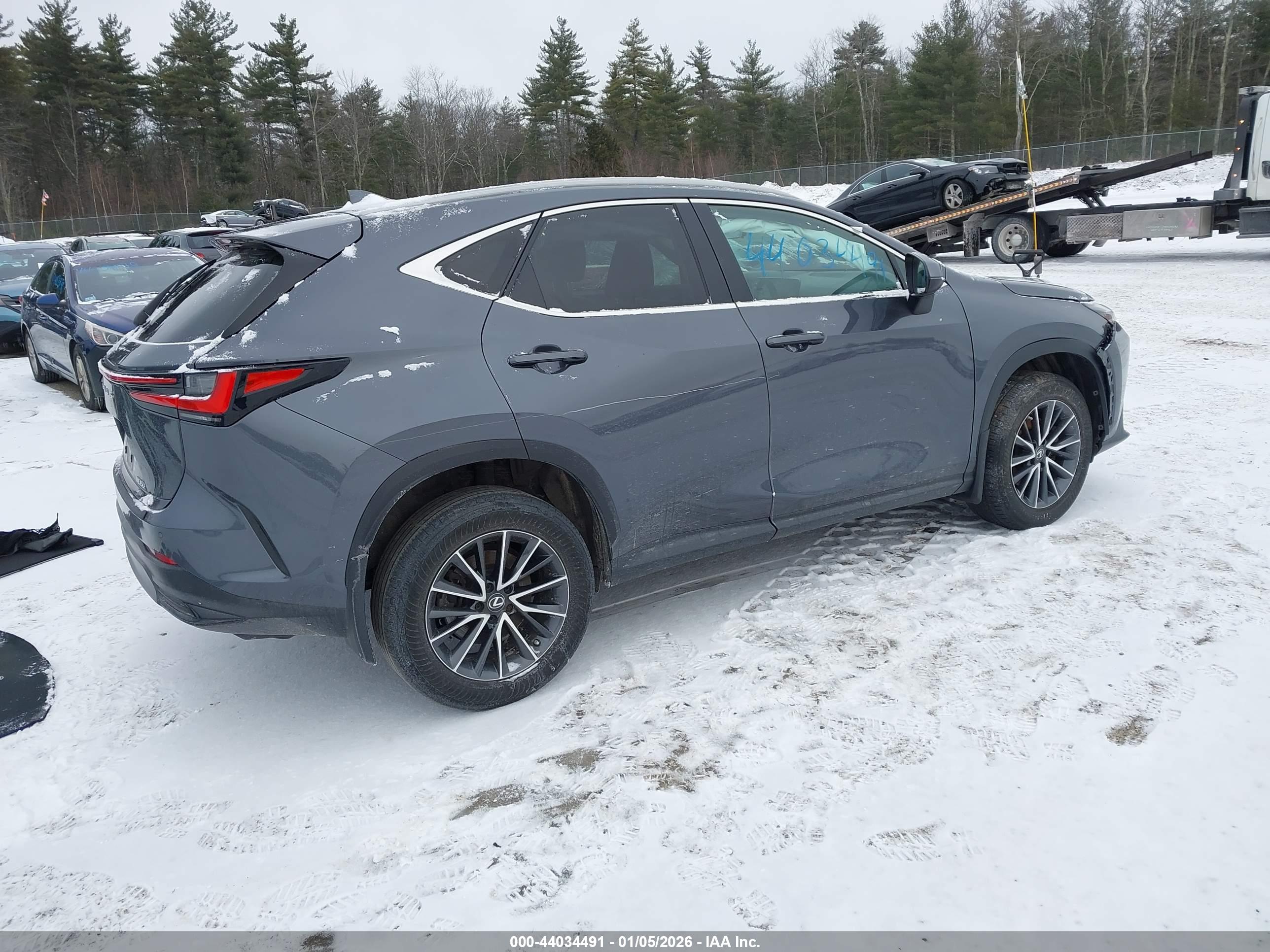 LEXUS NX image 4