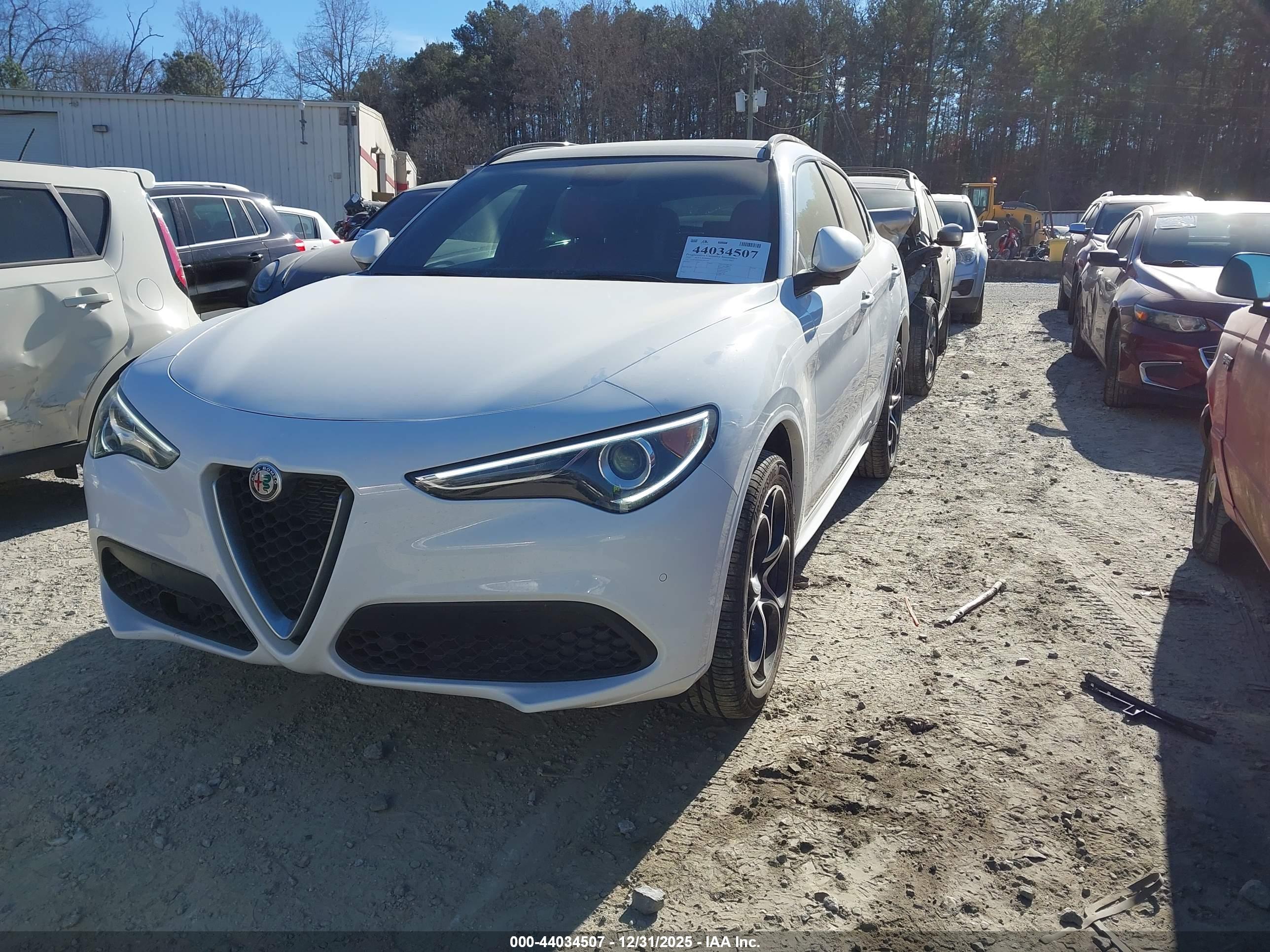 ALFA ROMEO image 2