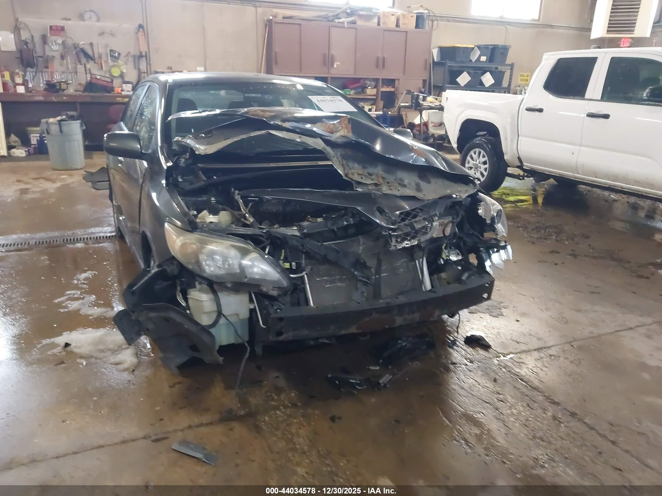TOYOTA COROLLA image 6