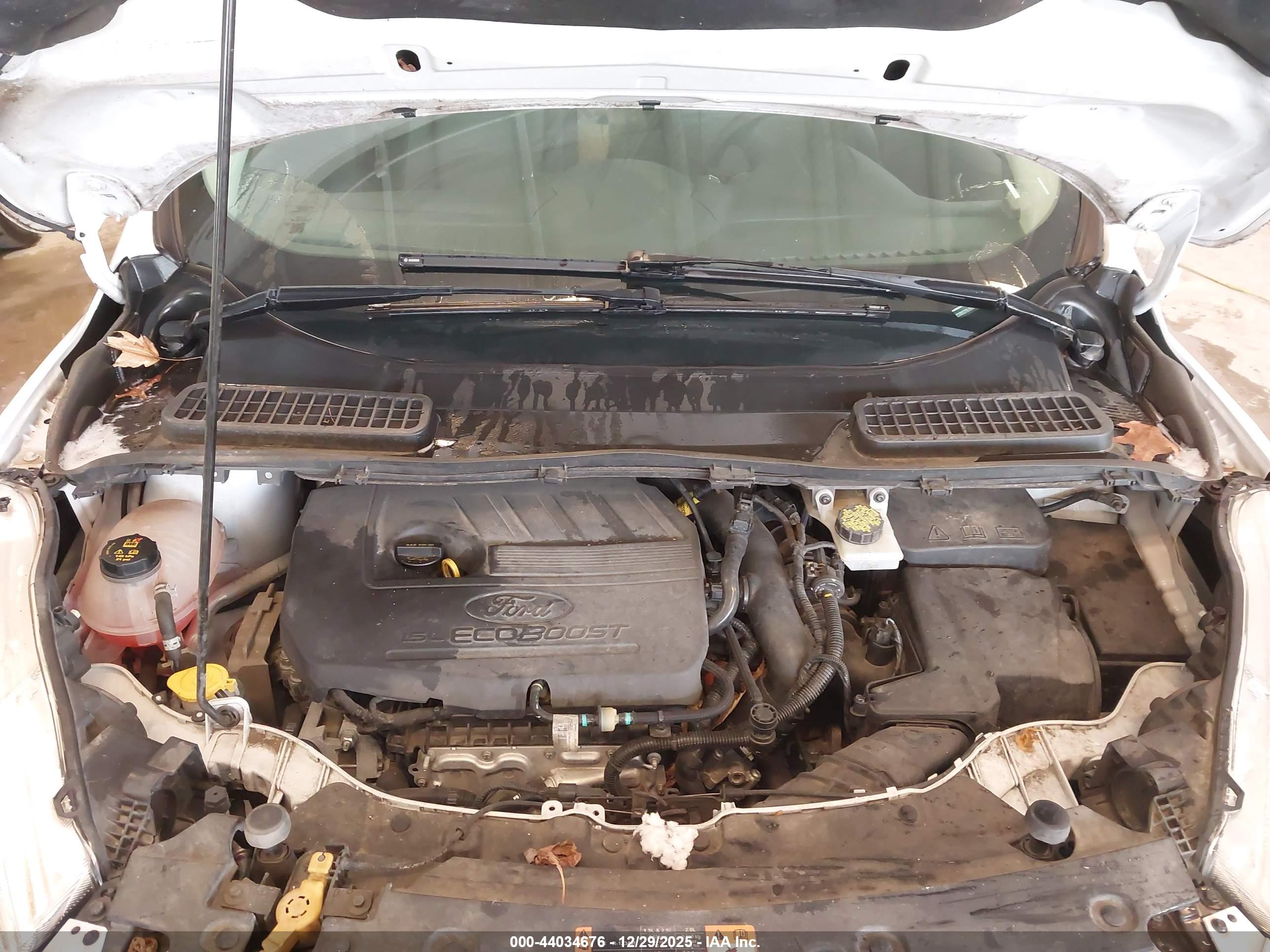 FORD ESCAPE image 10