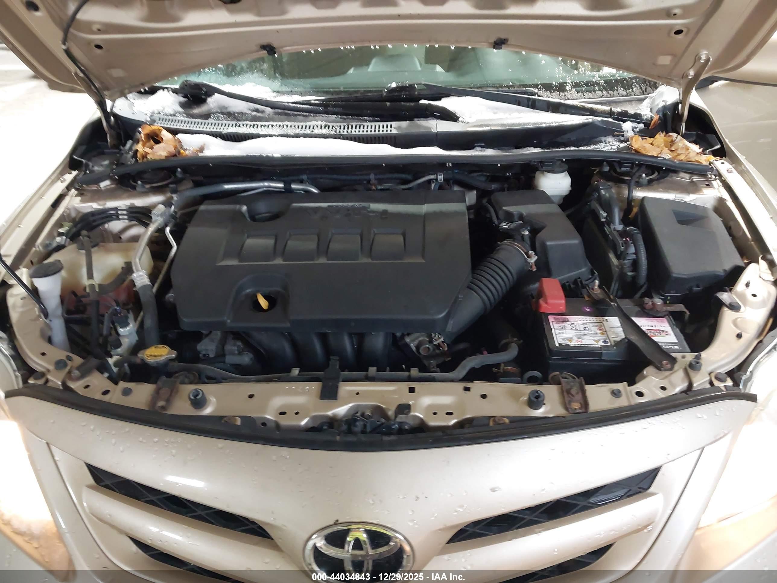 TOYOTA COROLLA image 10