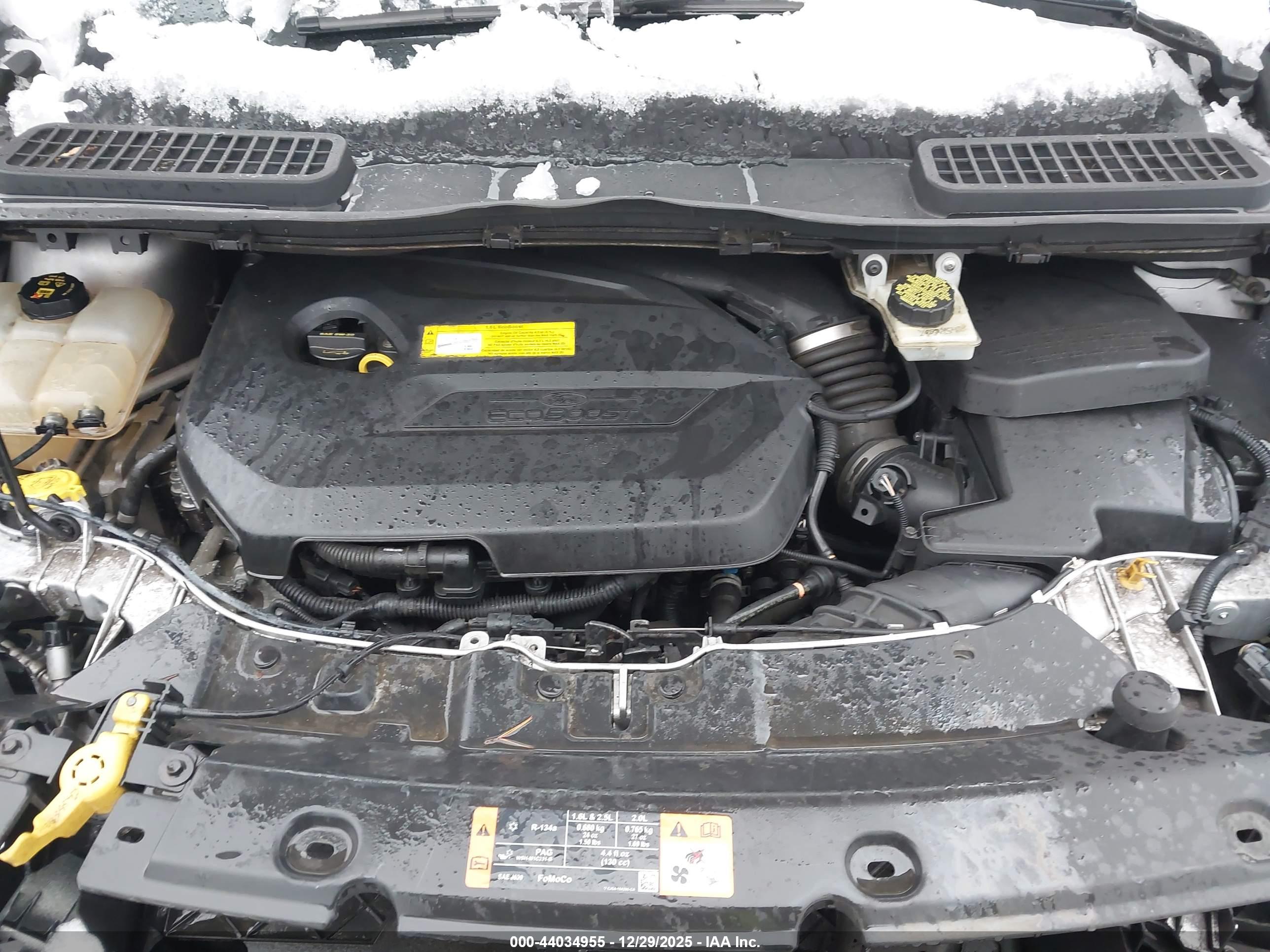 FORD ESCAPE image 10