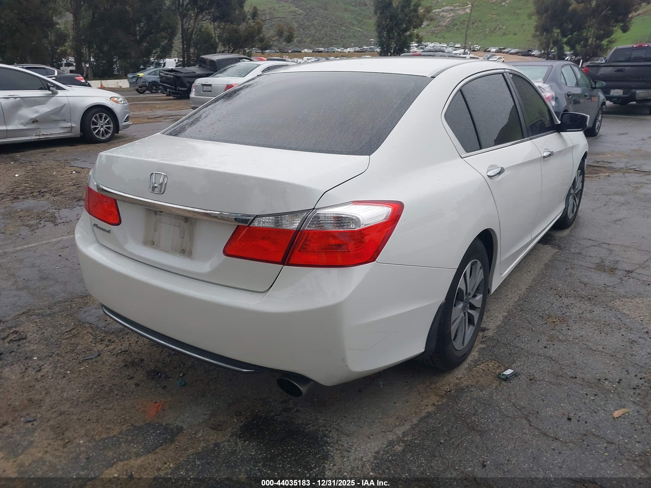 HONDA ACCORD image 4