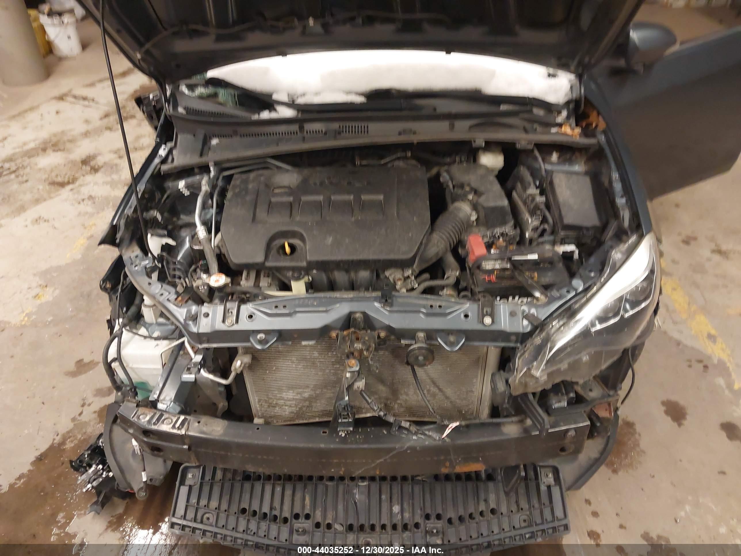 TOYOTA COROLLA image 10