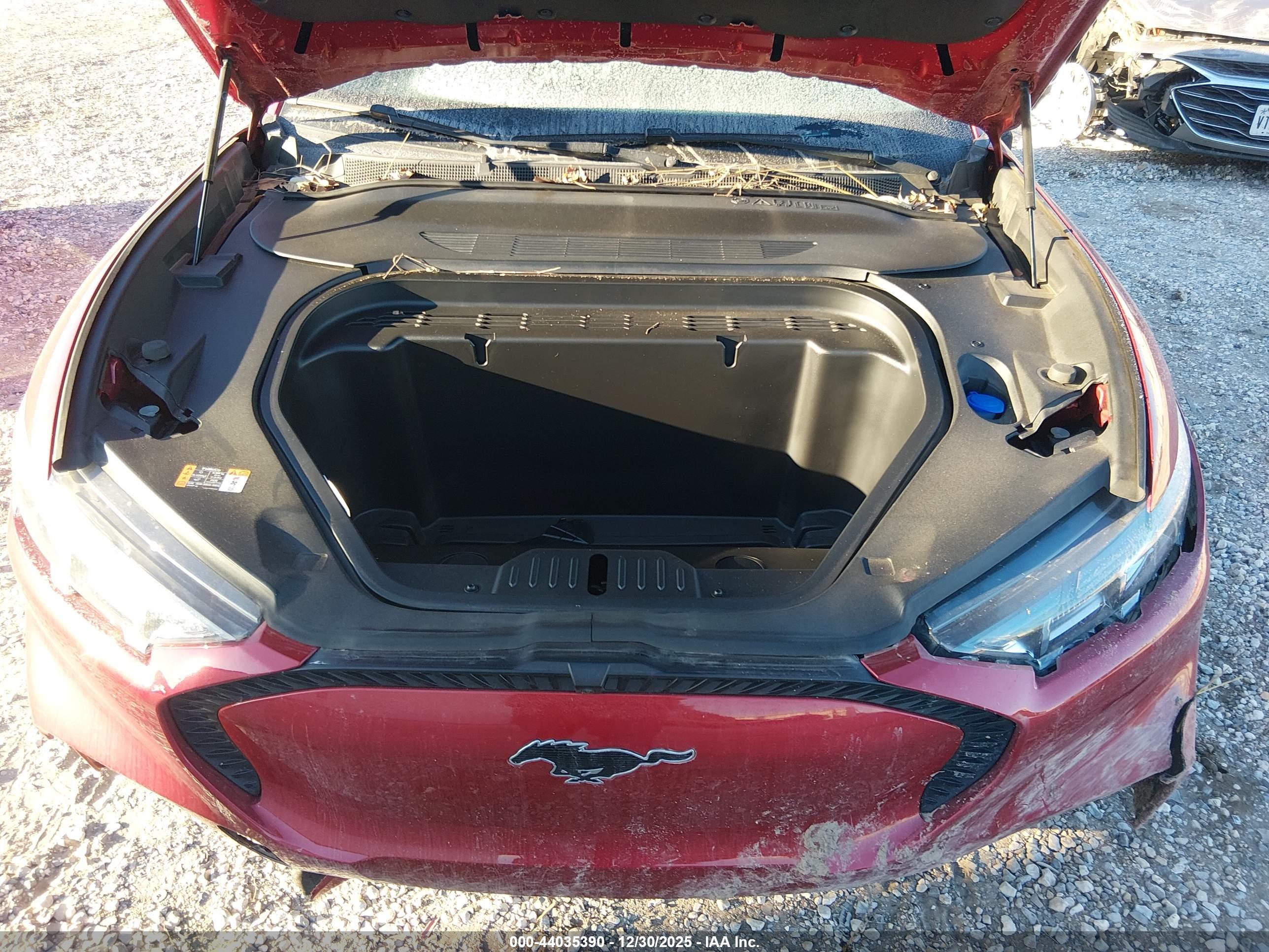 FORD MUSTANG image 10