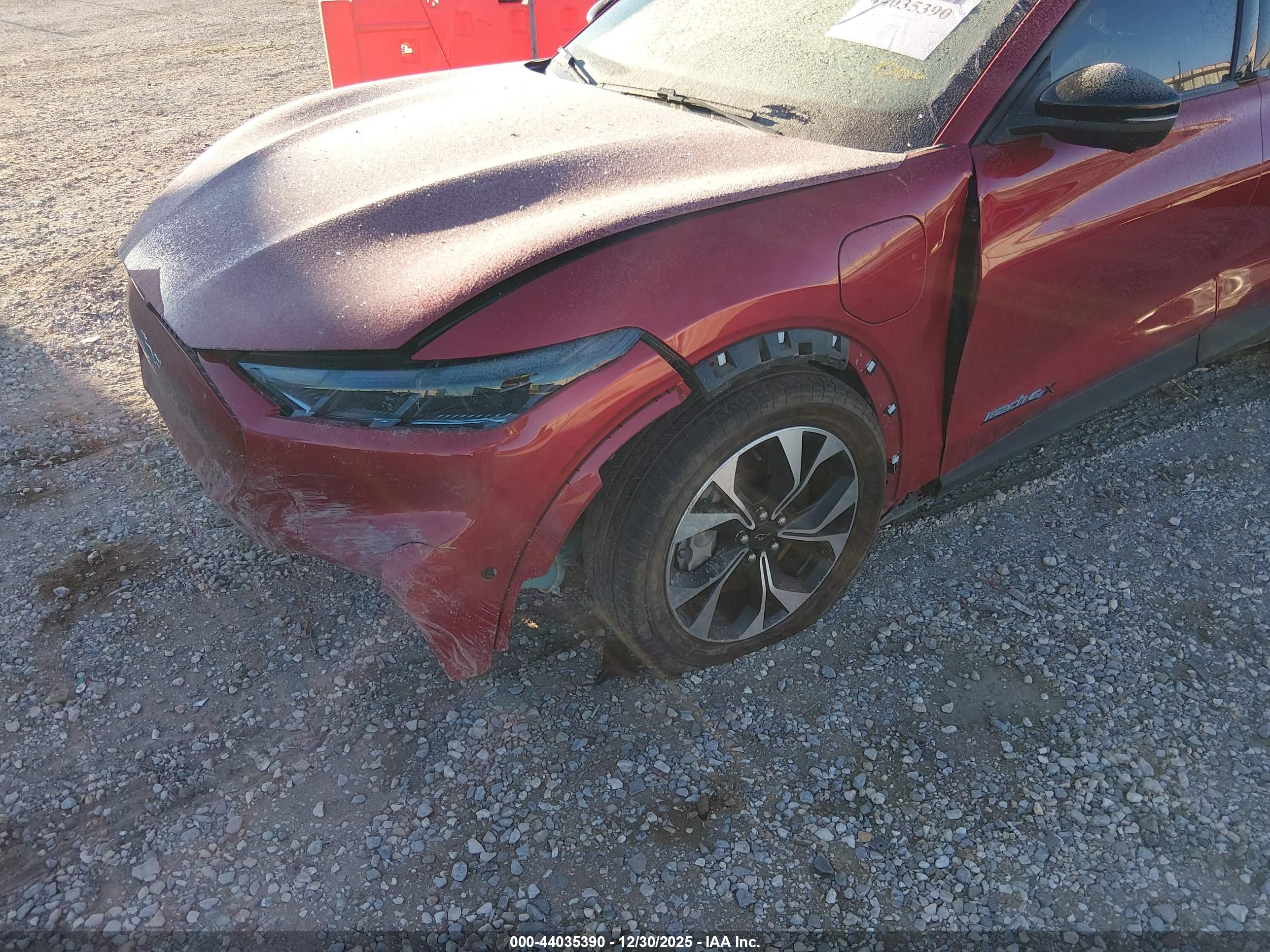 FORD MUSTANG image 6