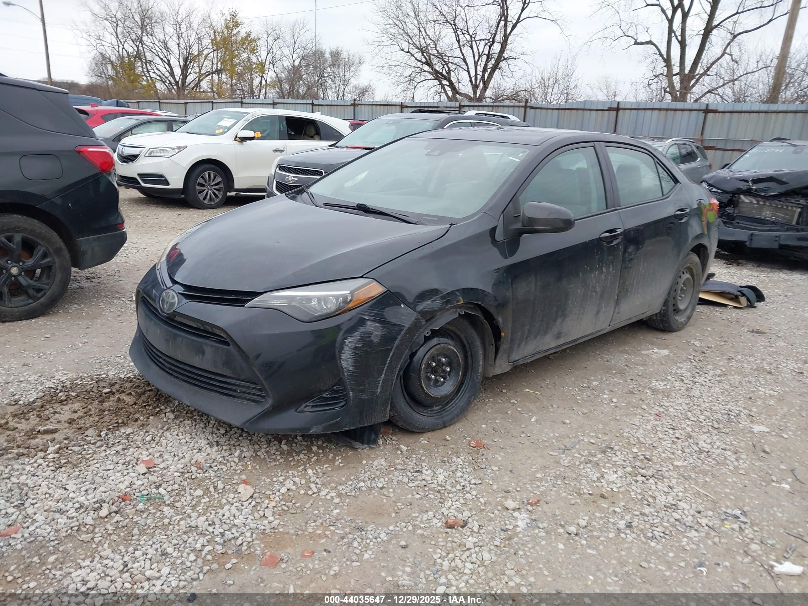 TOYOTA COROLLA image 2