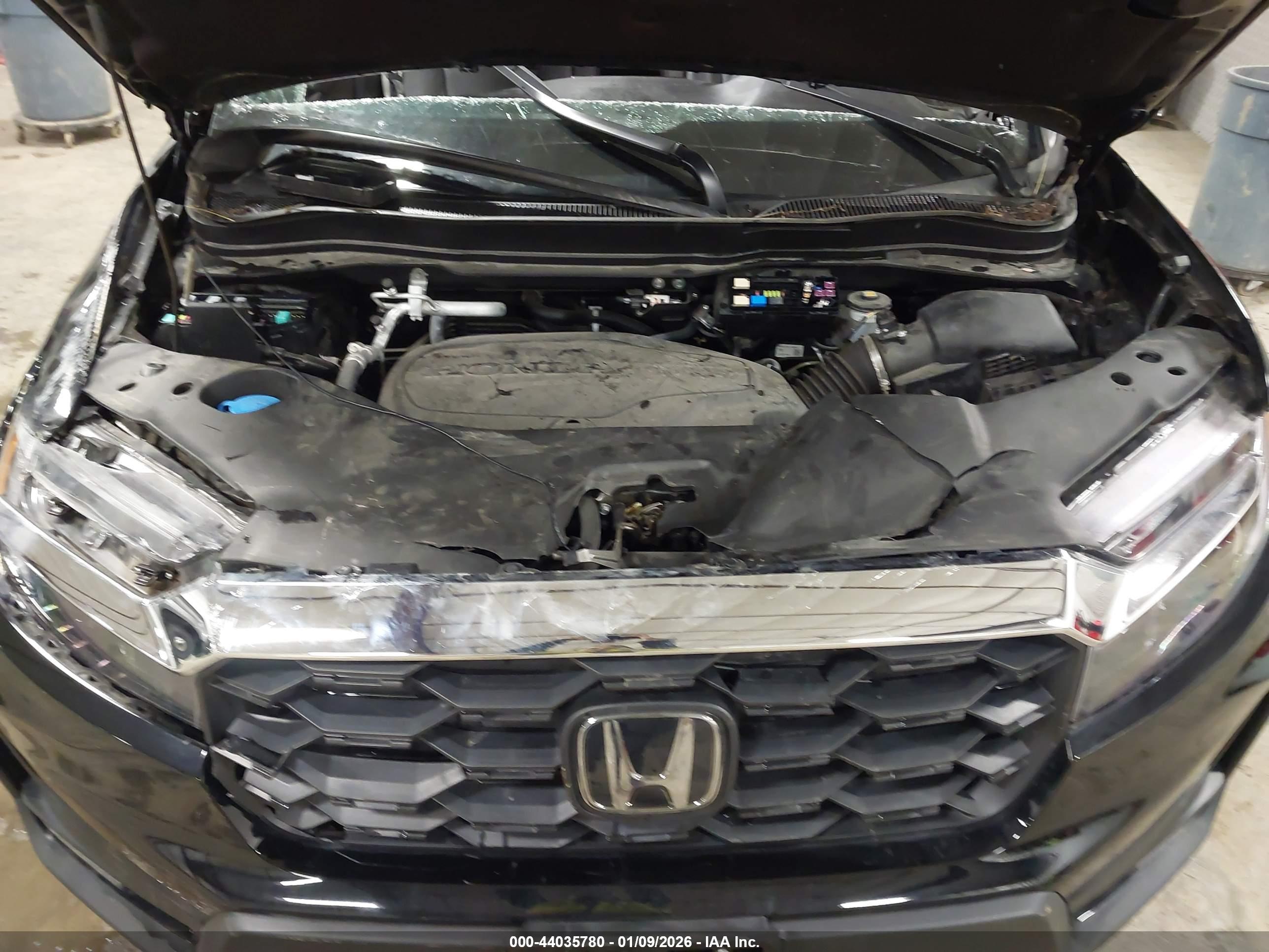 HONDA PASSPORT image 10