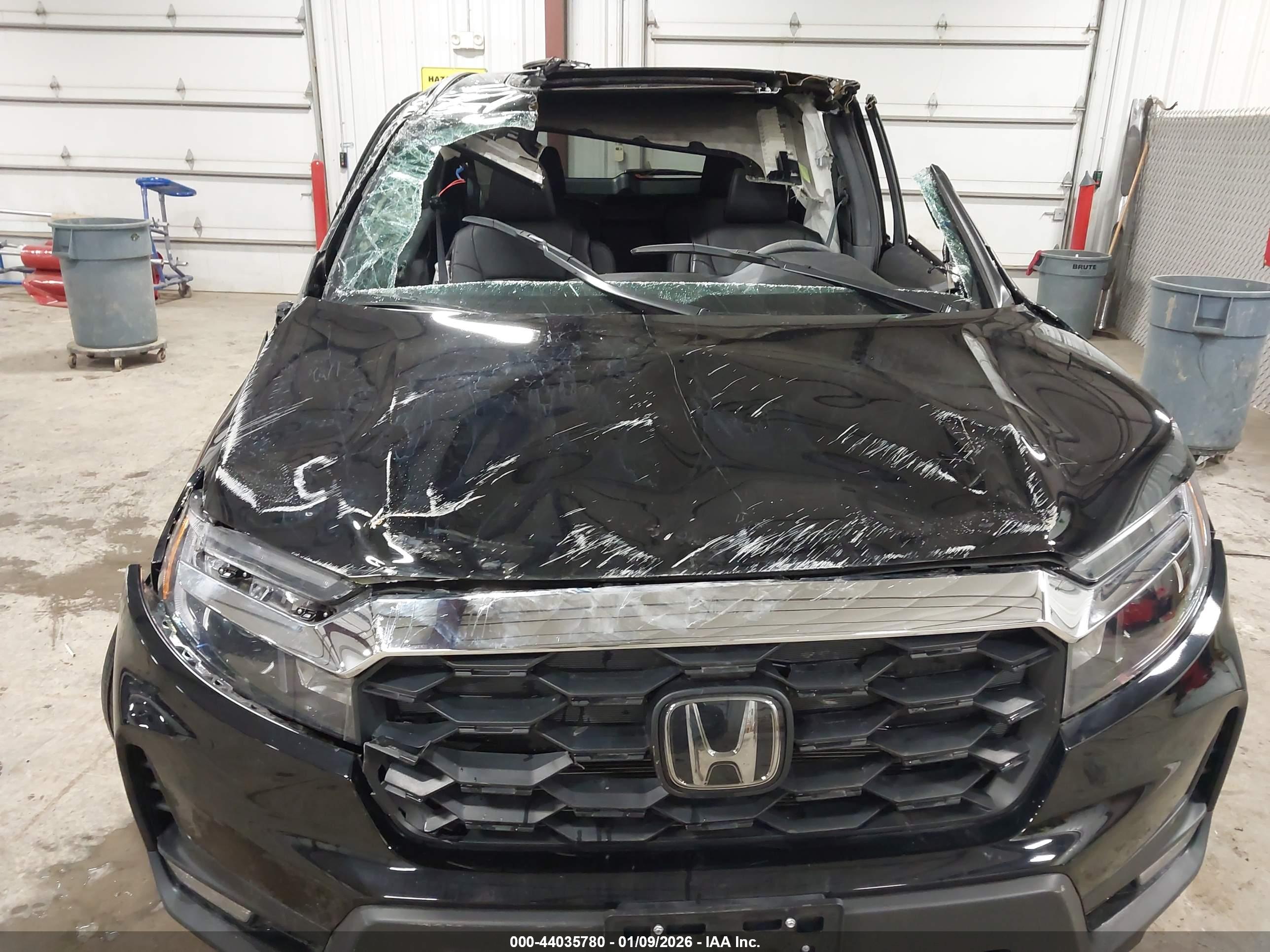 HONDA PASSPORT image 6