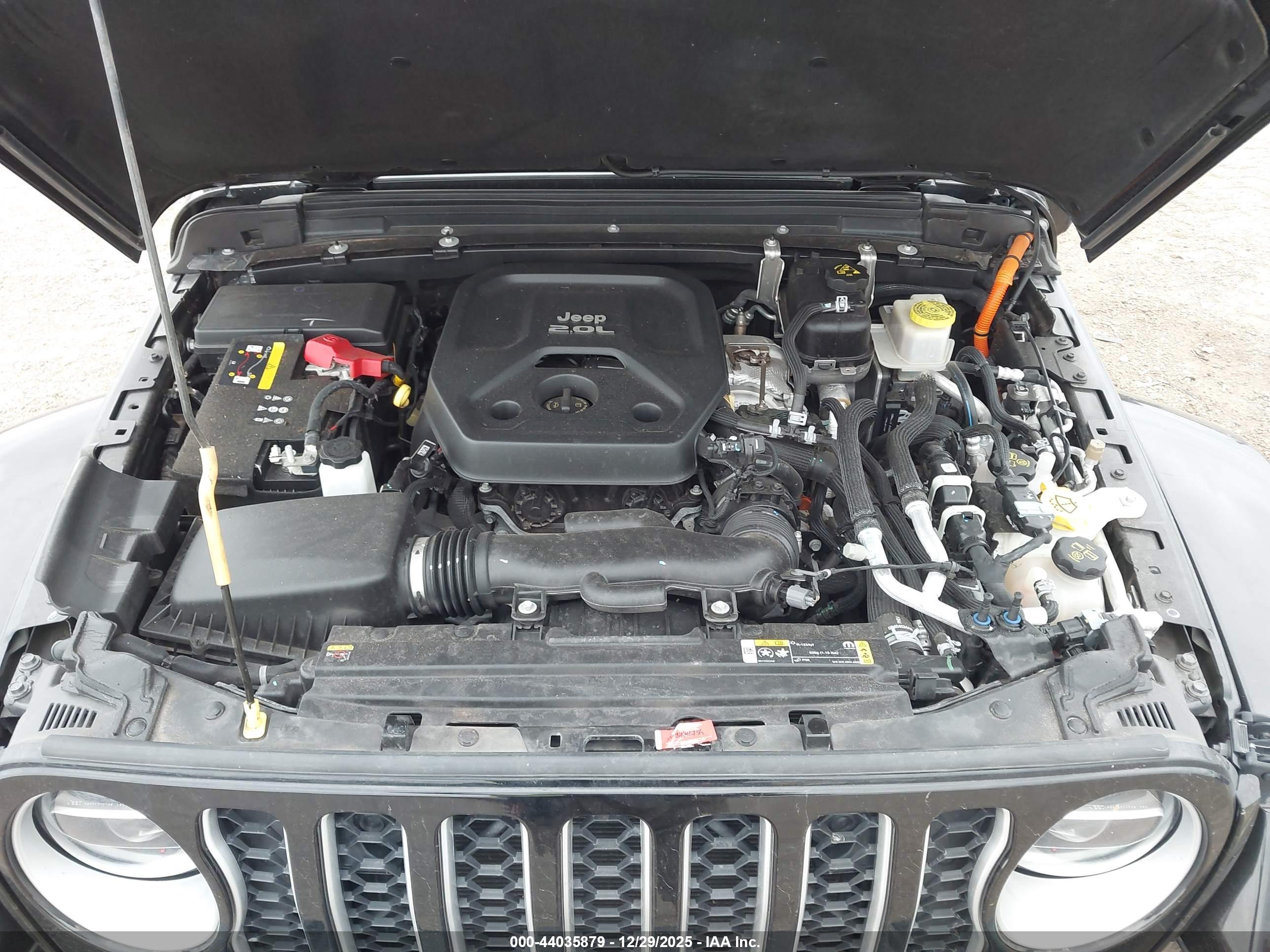 JEEP WRANGLER image 10