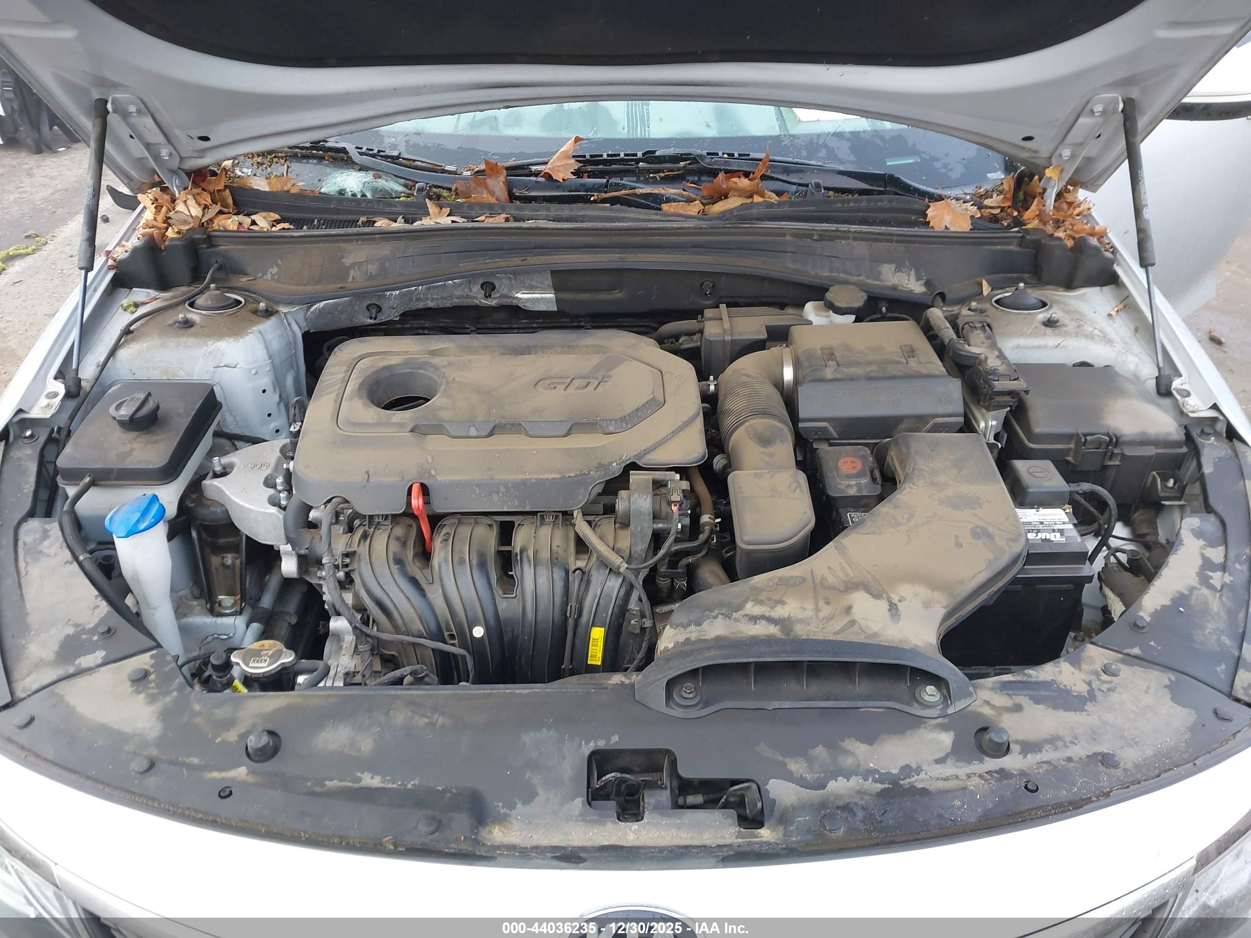 KIA OPTIMA image 10