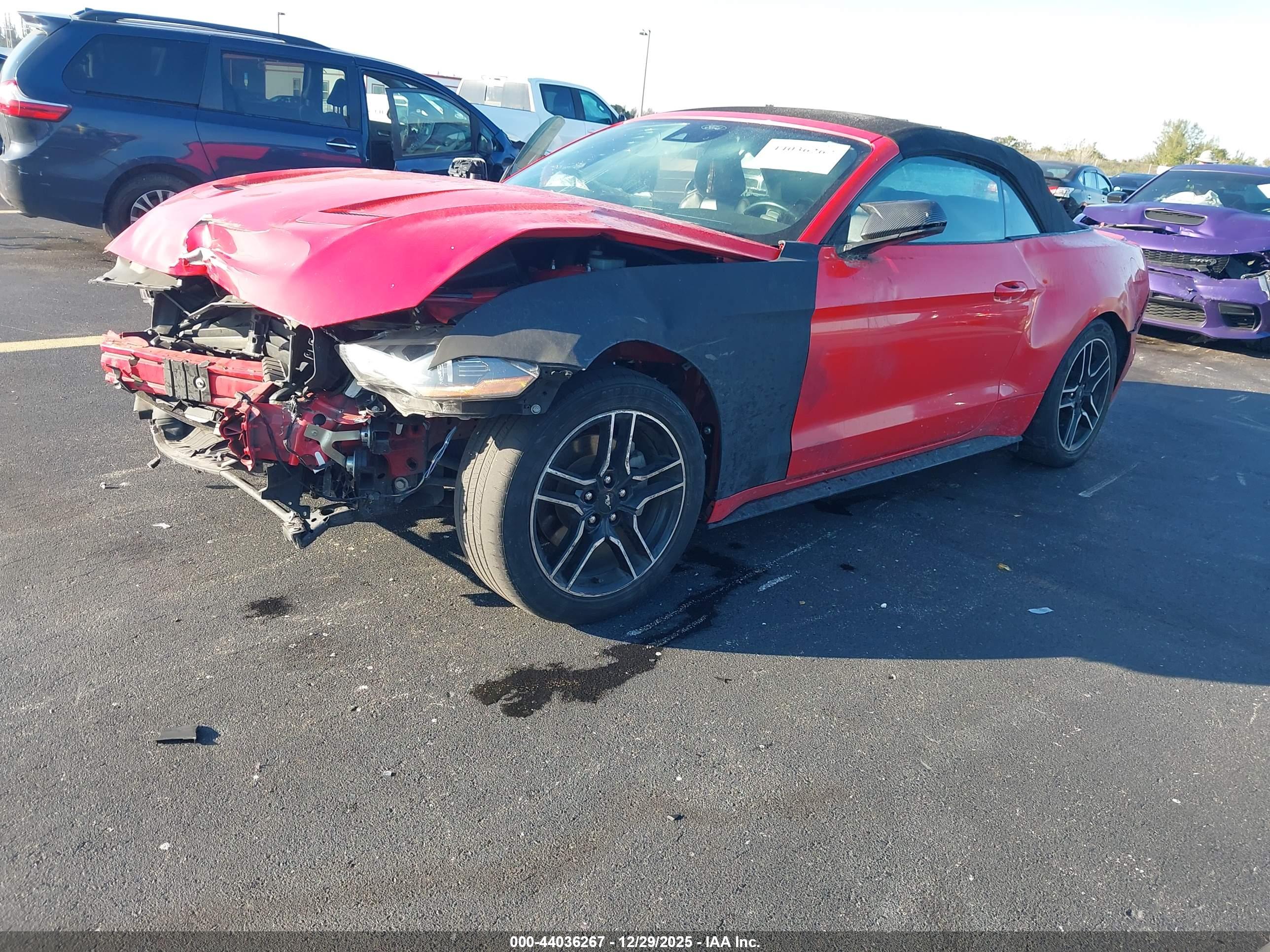FORD MUSTANG image 2