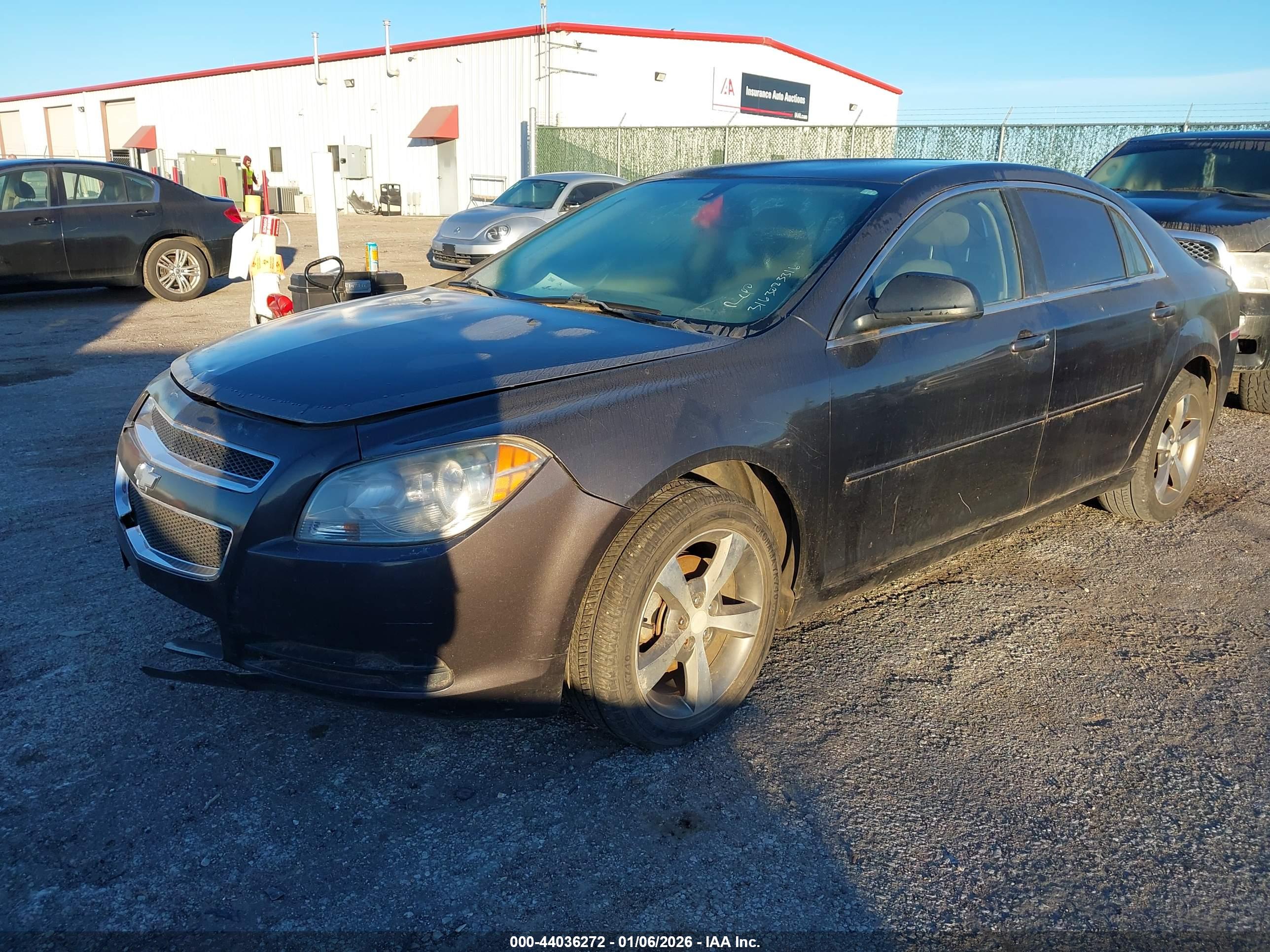 CHEVROLET MALIBU image 2
