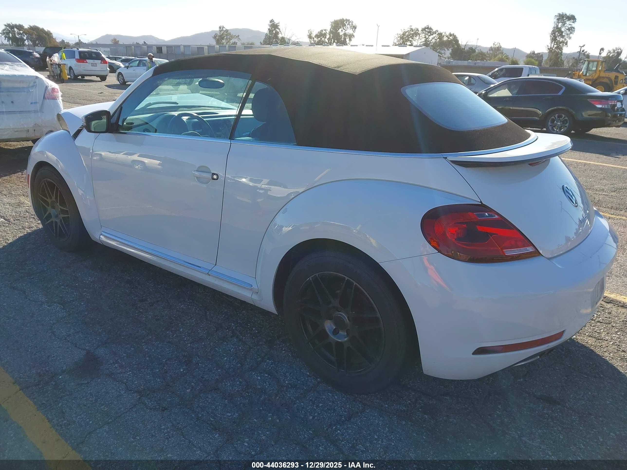 VOLKSWAGEN BEETLE image 3