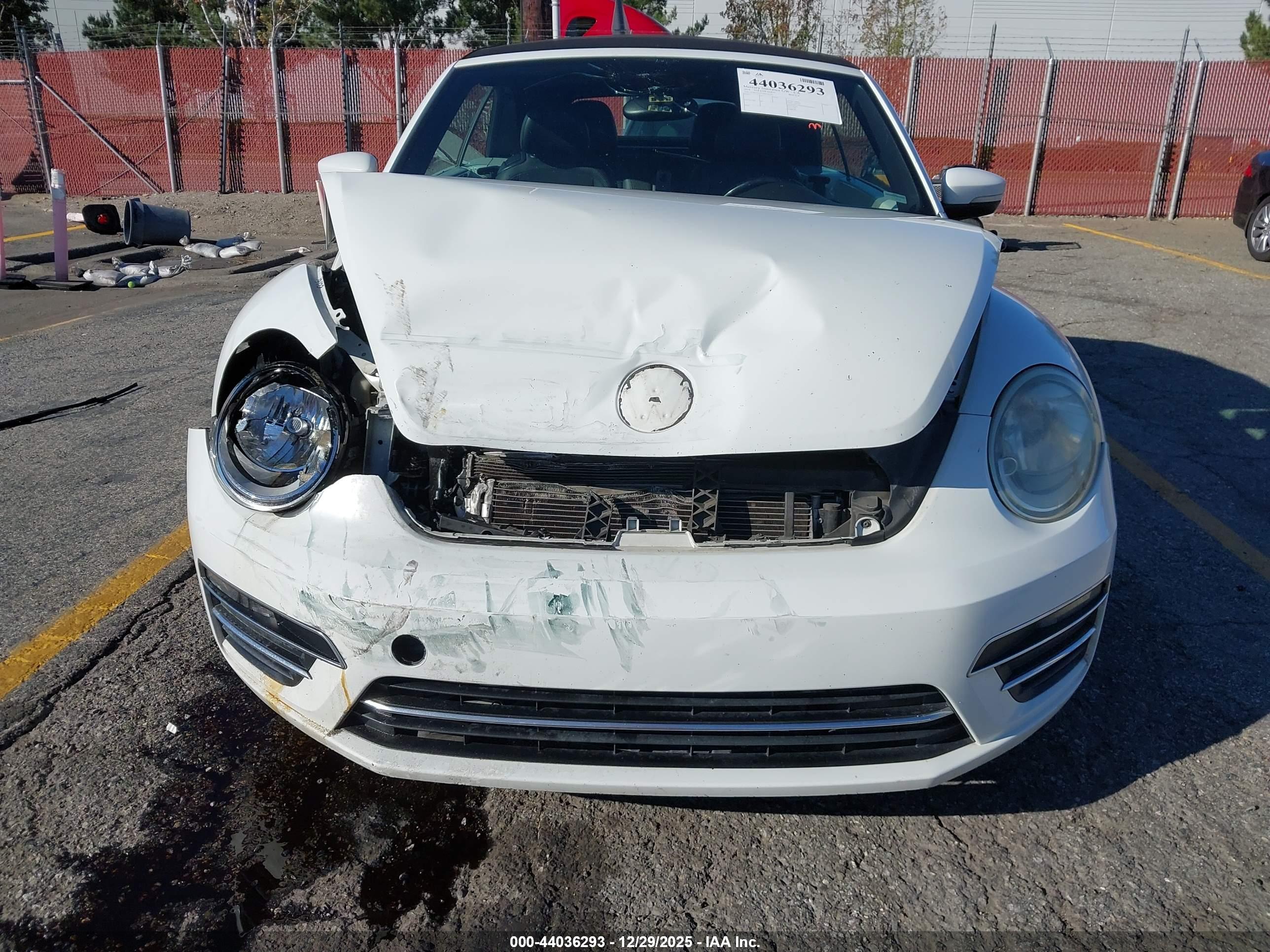 VOLKSWAGEN BEETLE image 6