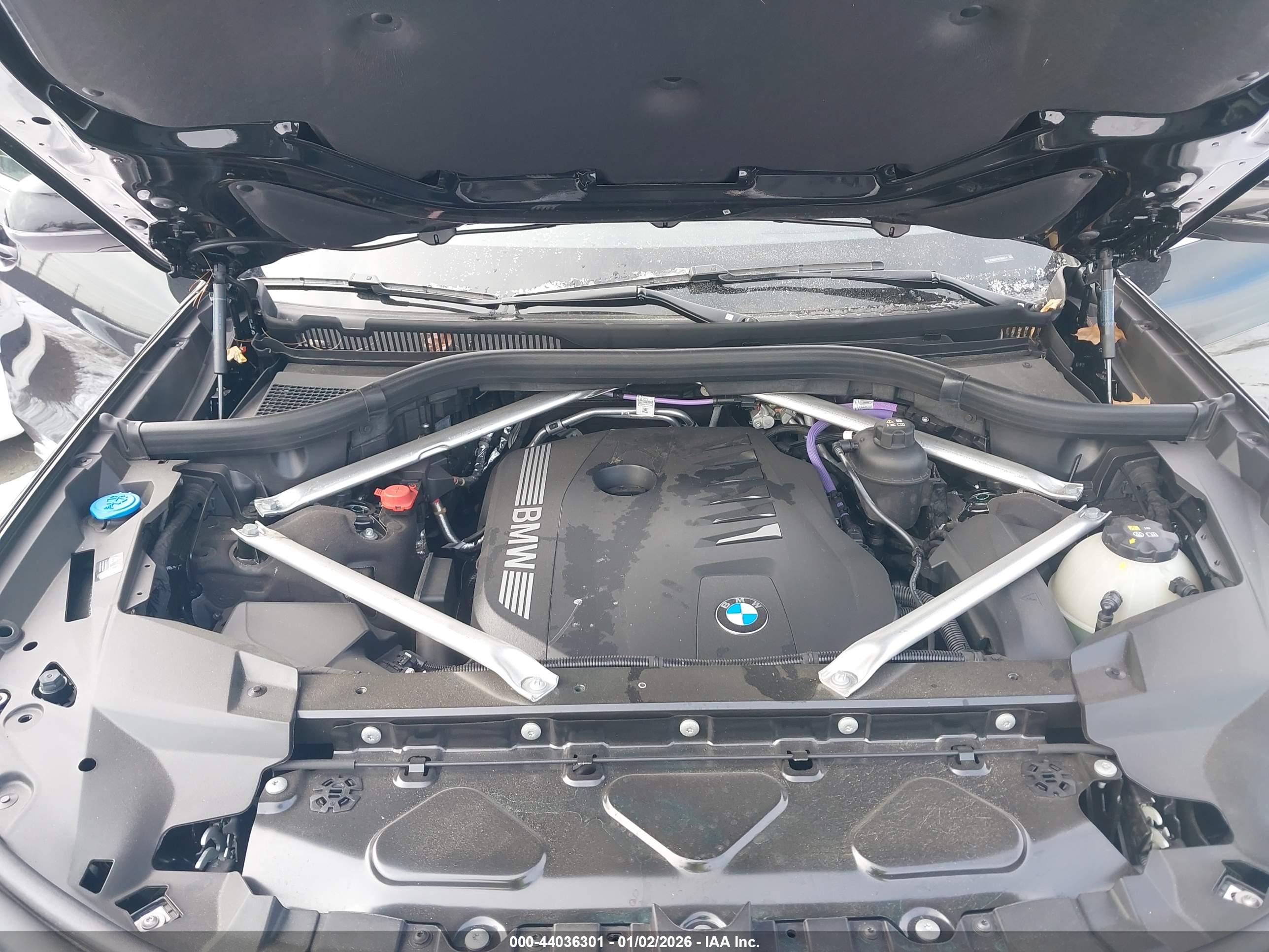 BMW X7 image 10