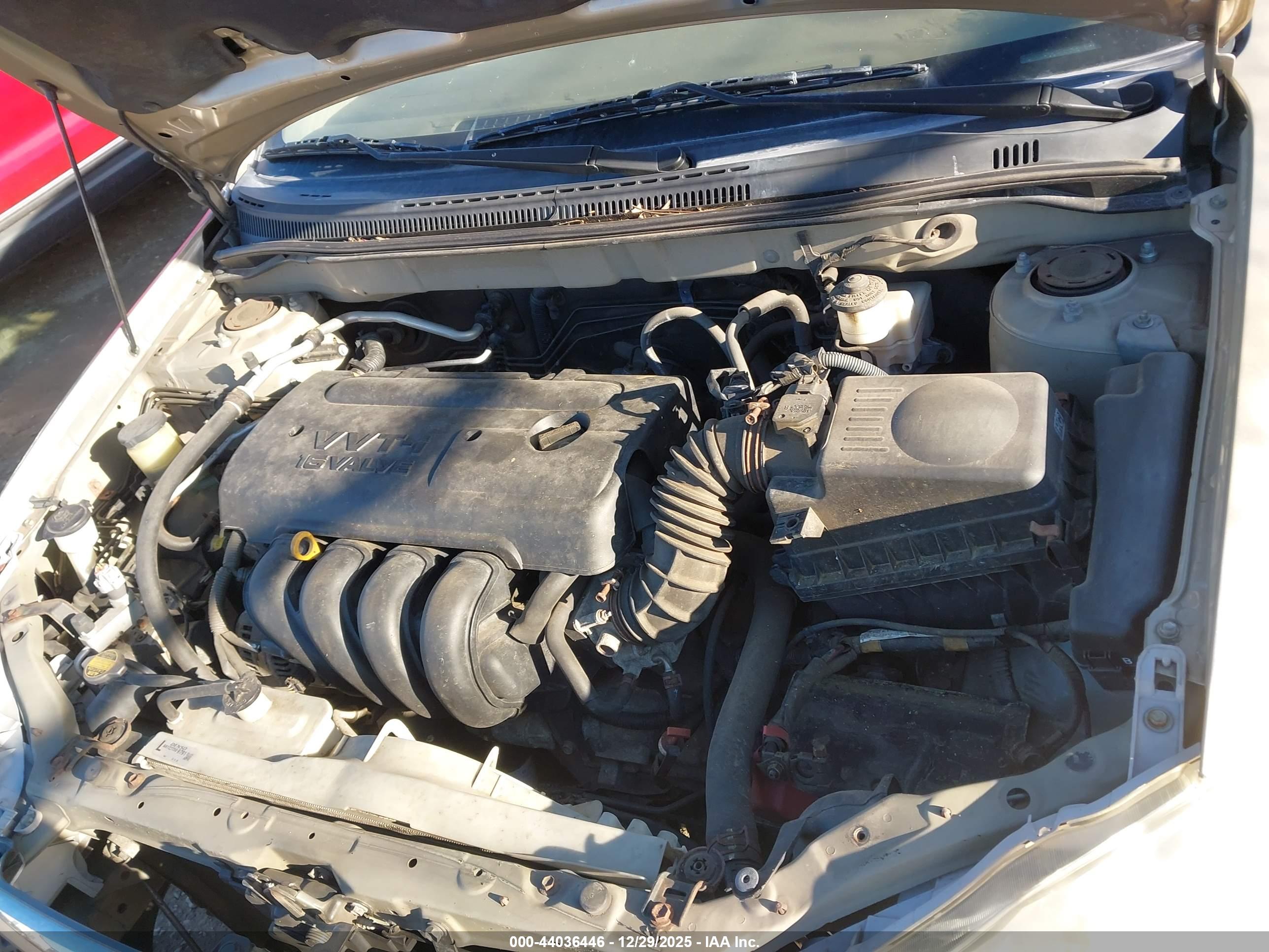 TOYOTA COROLLA image 10