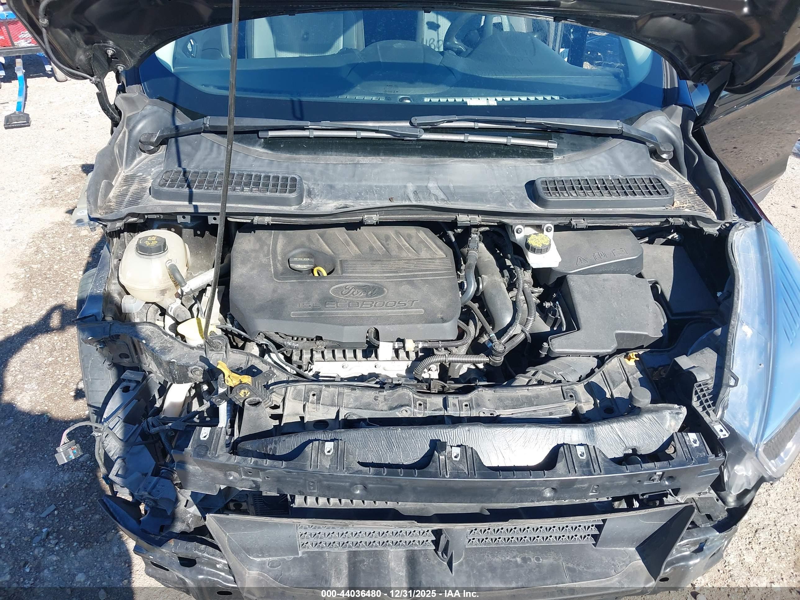 FORD ESCAPE image 10