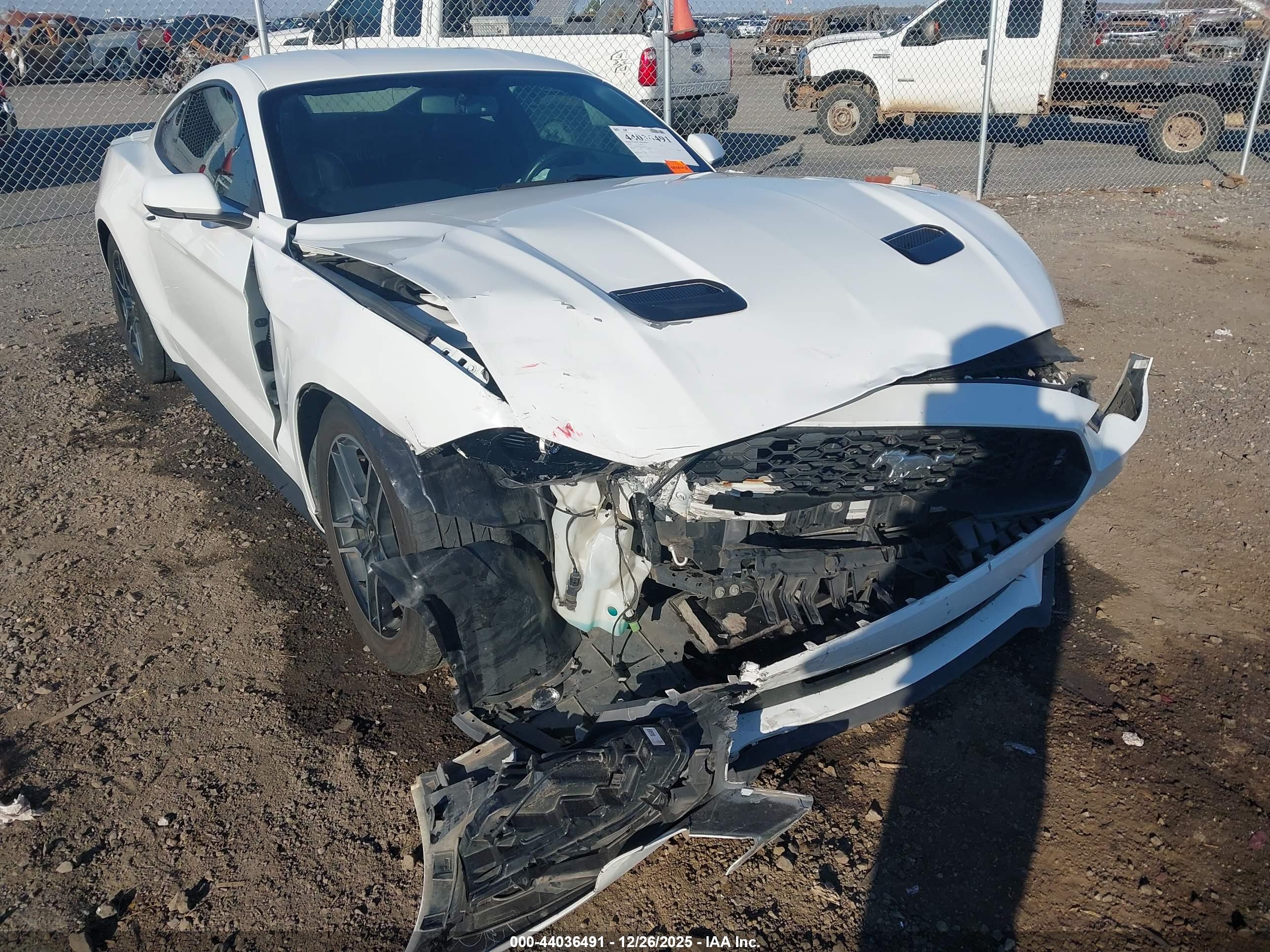 FORD MUSTANG image 6