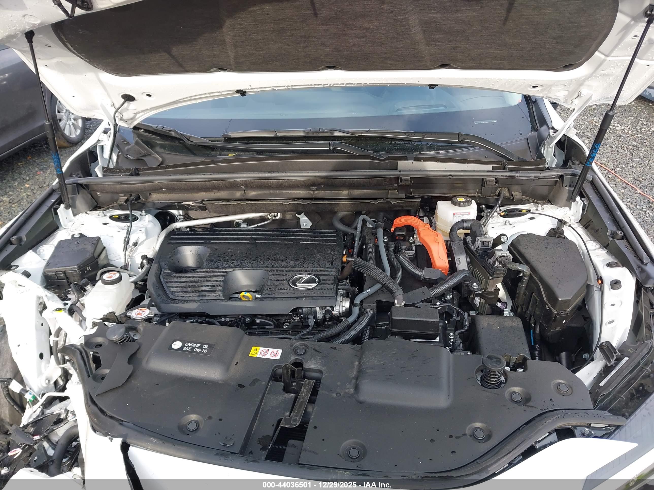 LEXUS NX image 10