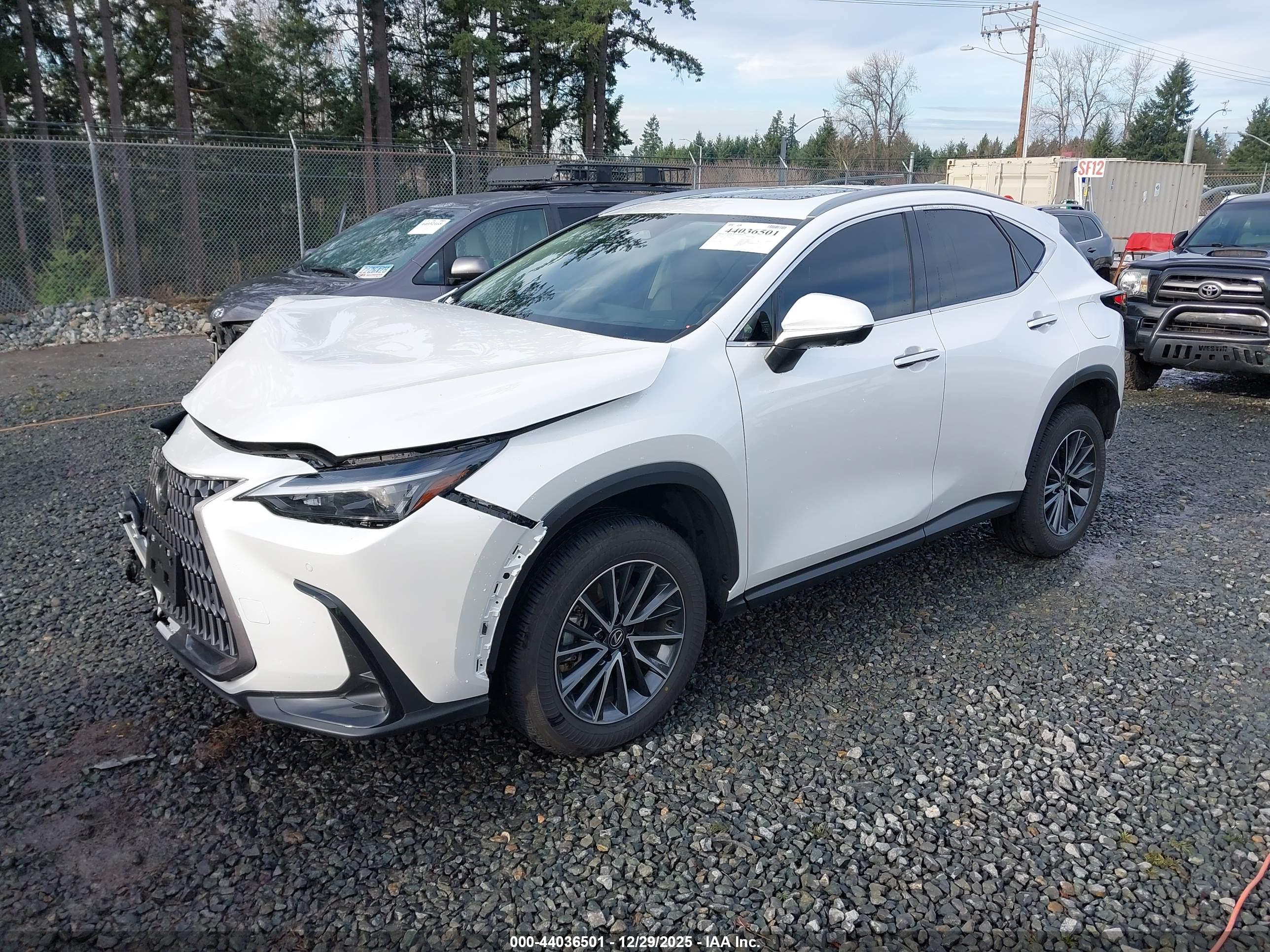 LEXUS NX image 2