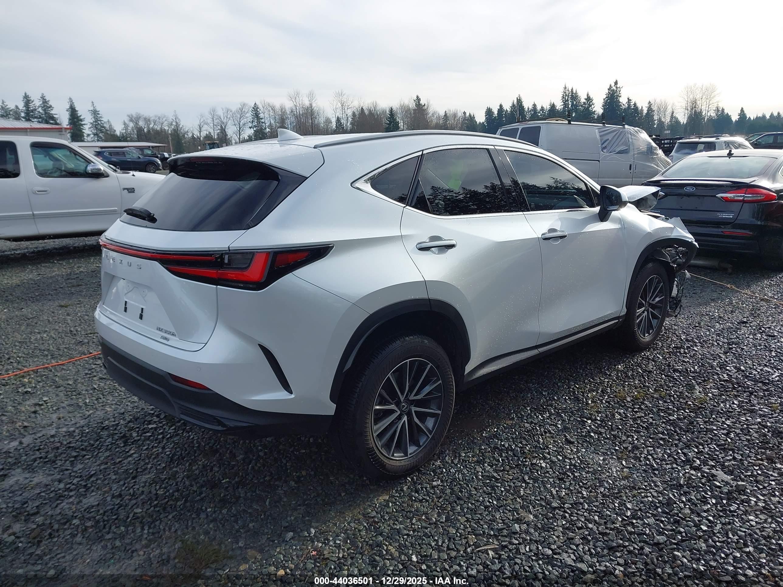LEXUS NX image 4
