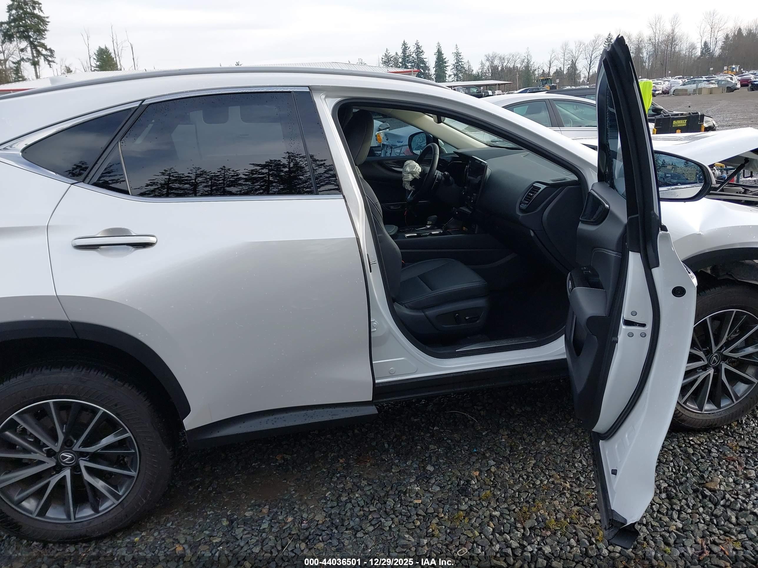 LEXUS NX image 5