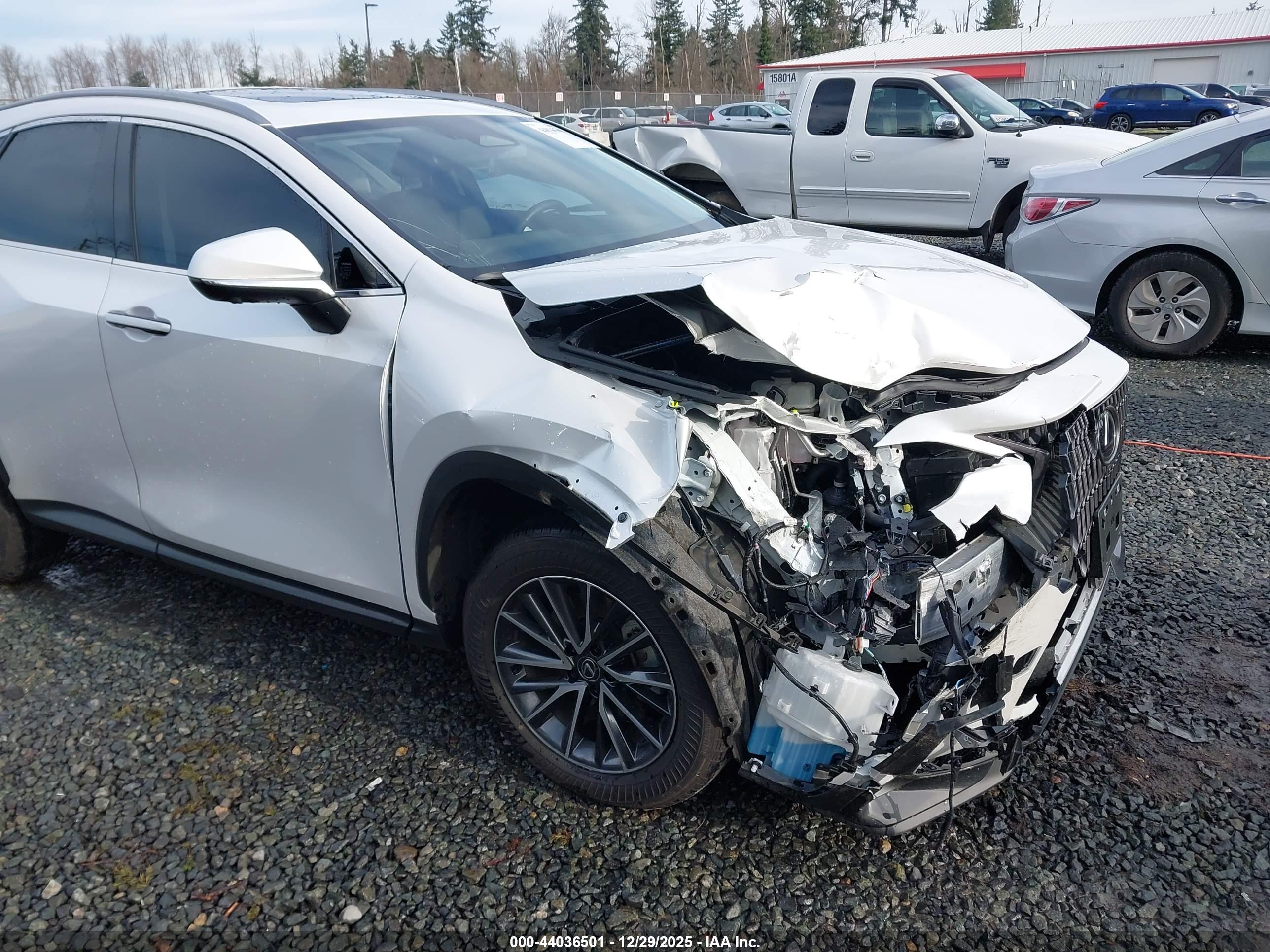 LEXUS NX image 6