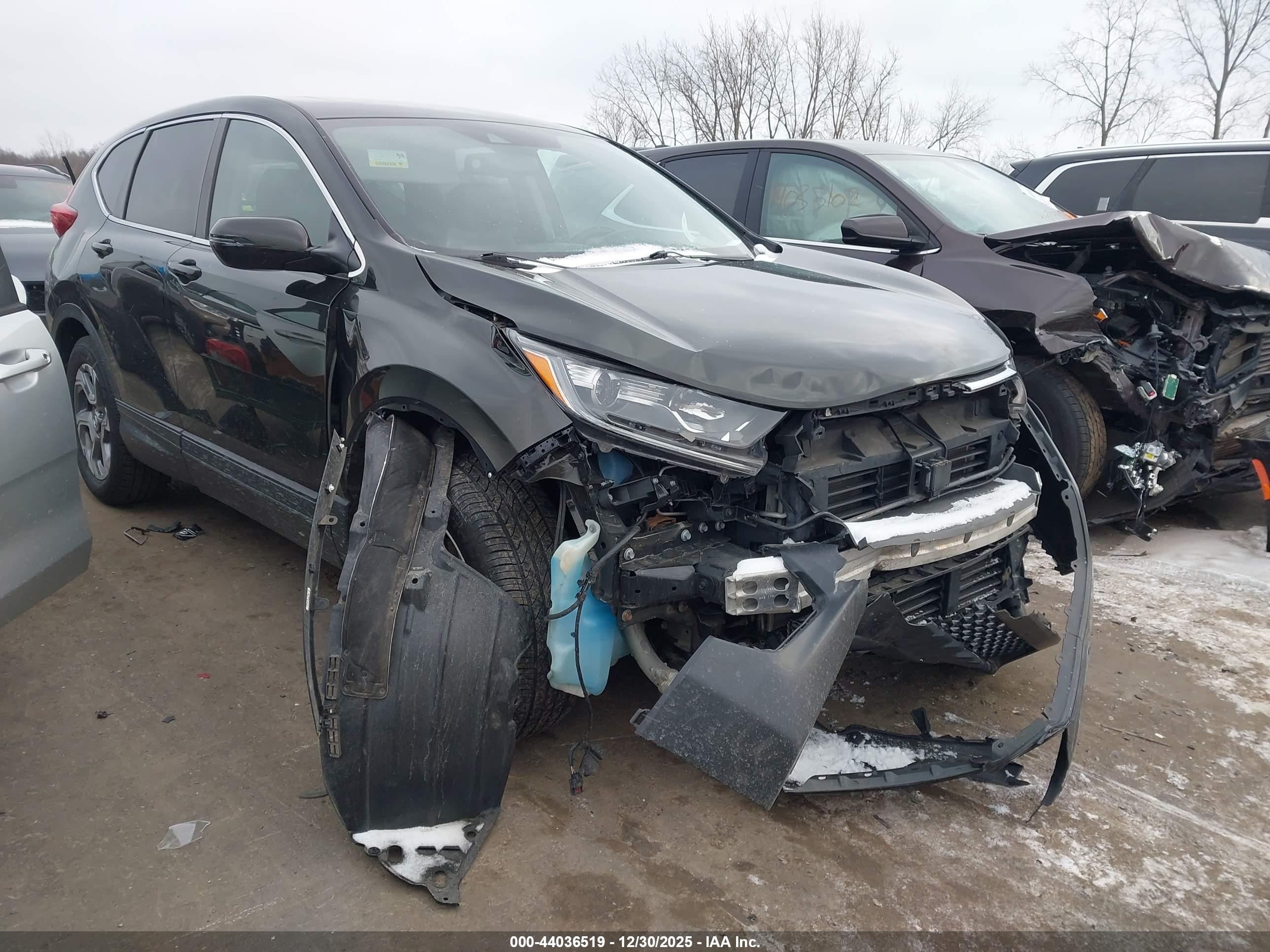 HONDA CR-V image 6