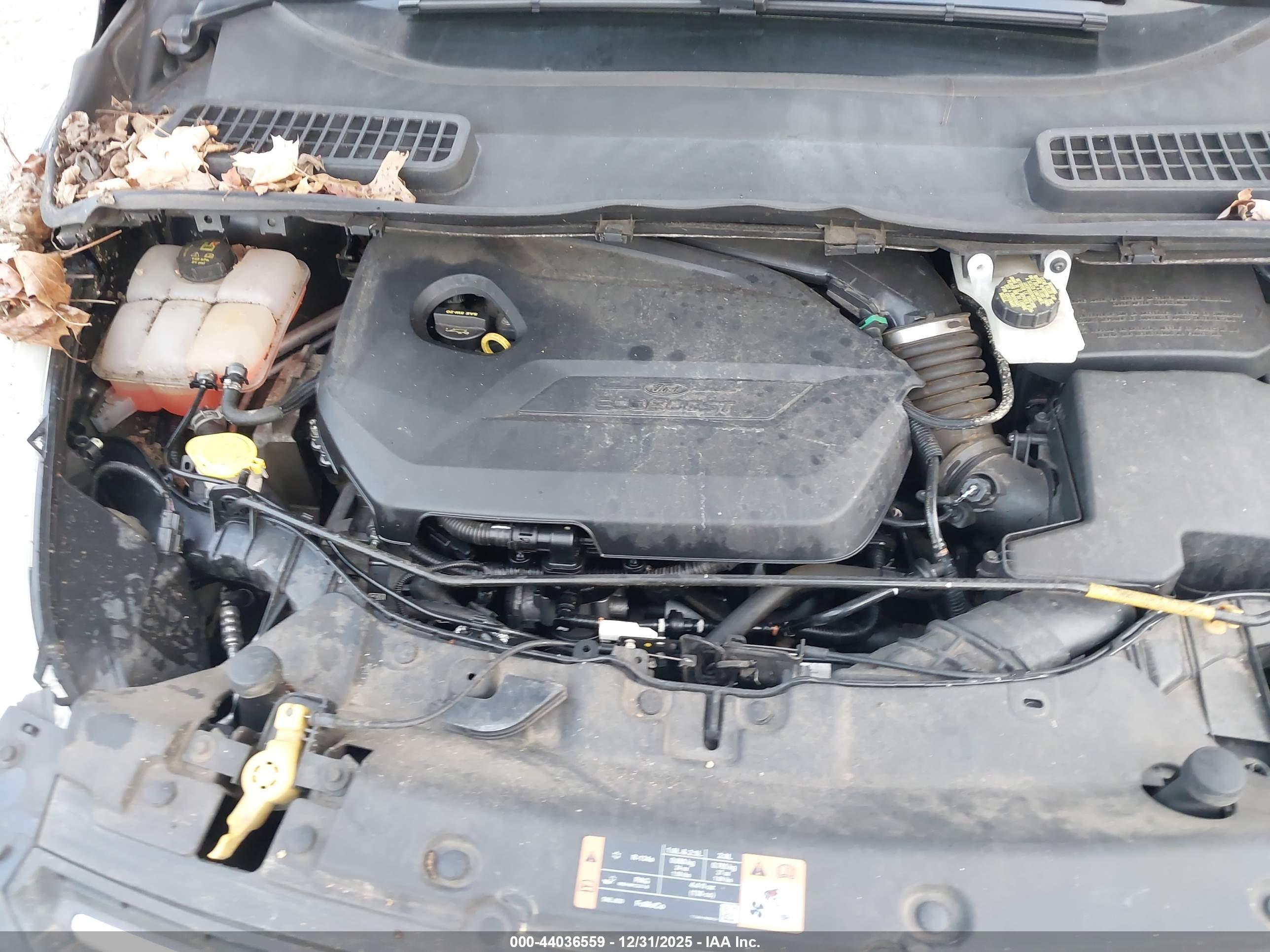 FORD ESCAPE image 10