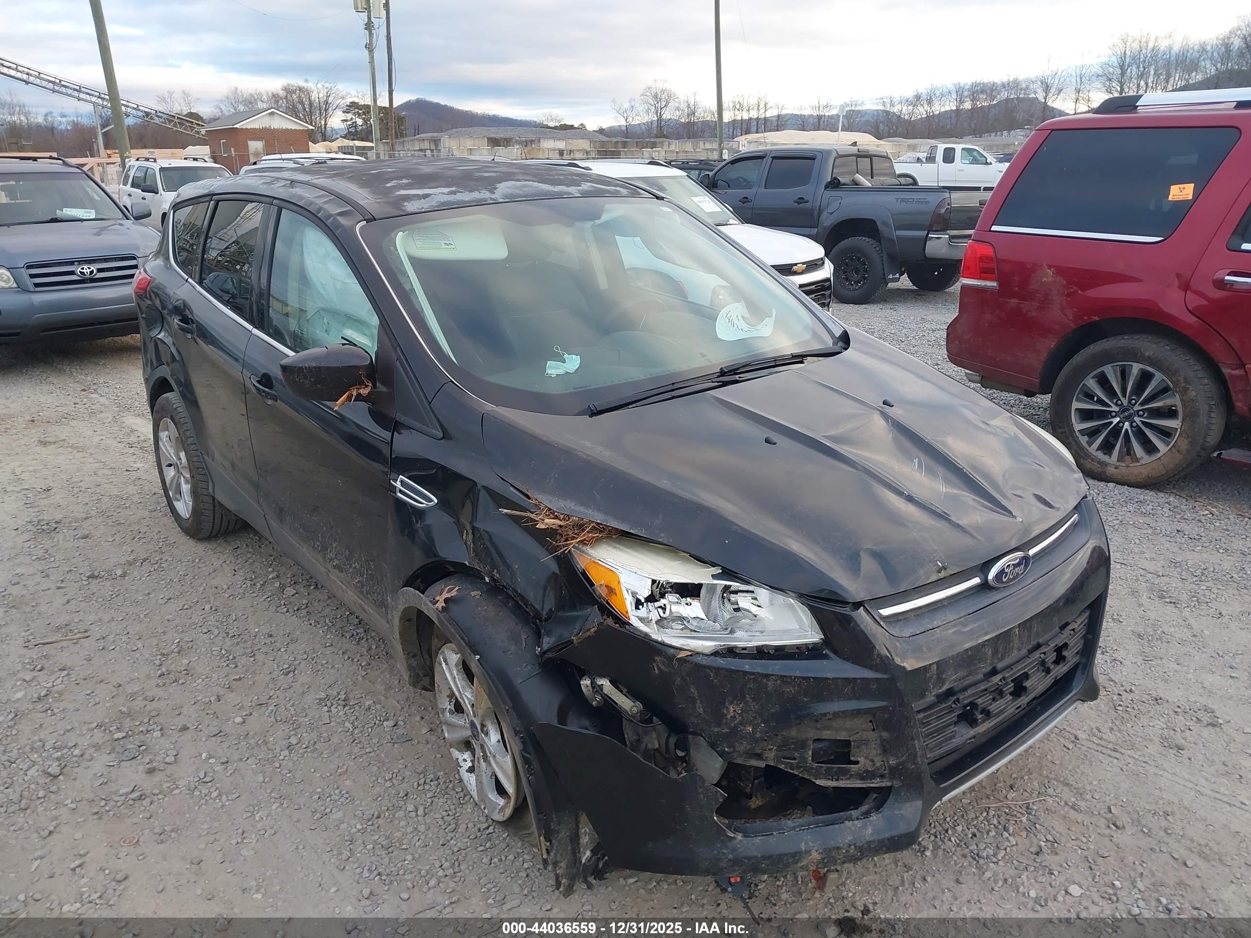 FORD ESCAPE image 6