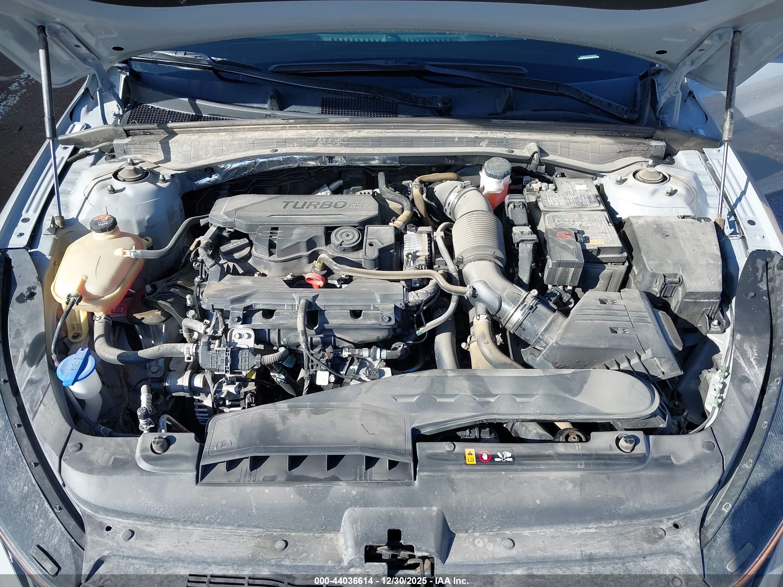 KIA K5 image 10