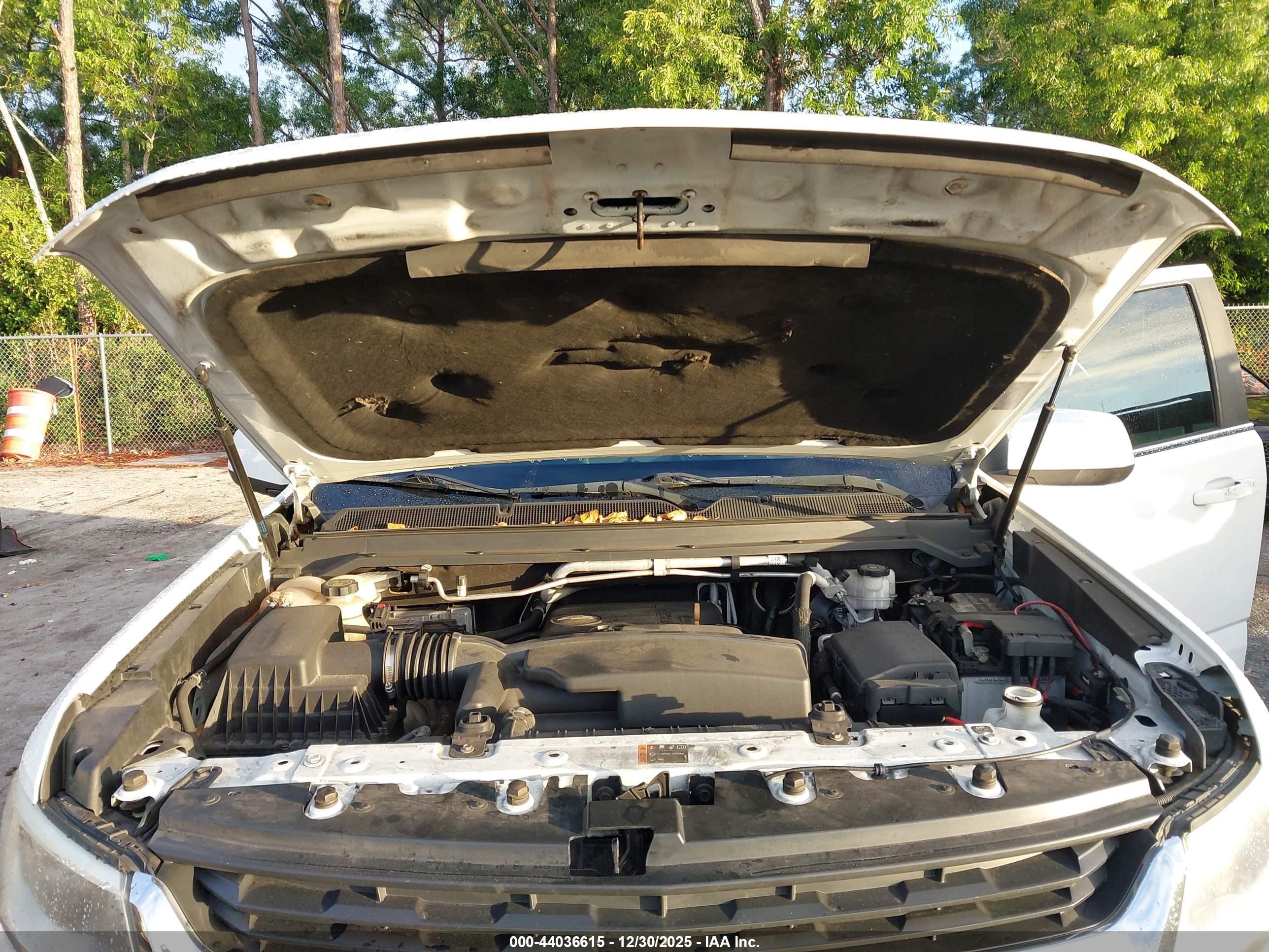 CHEVROLET COLORADO image 10