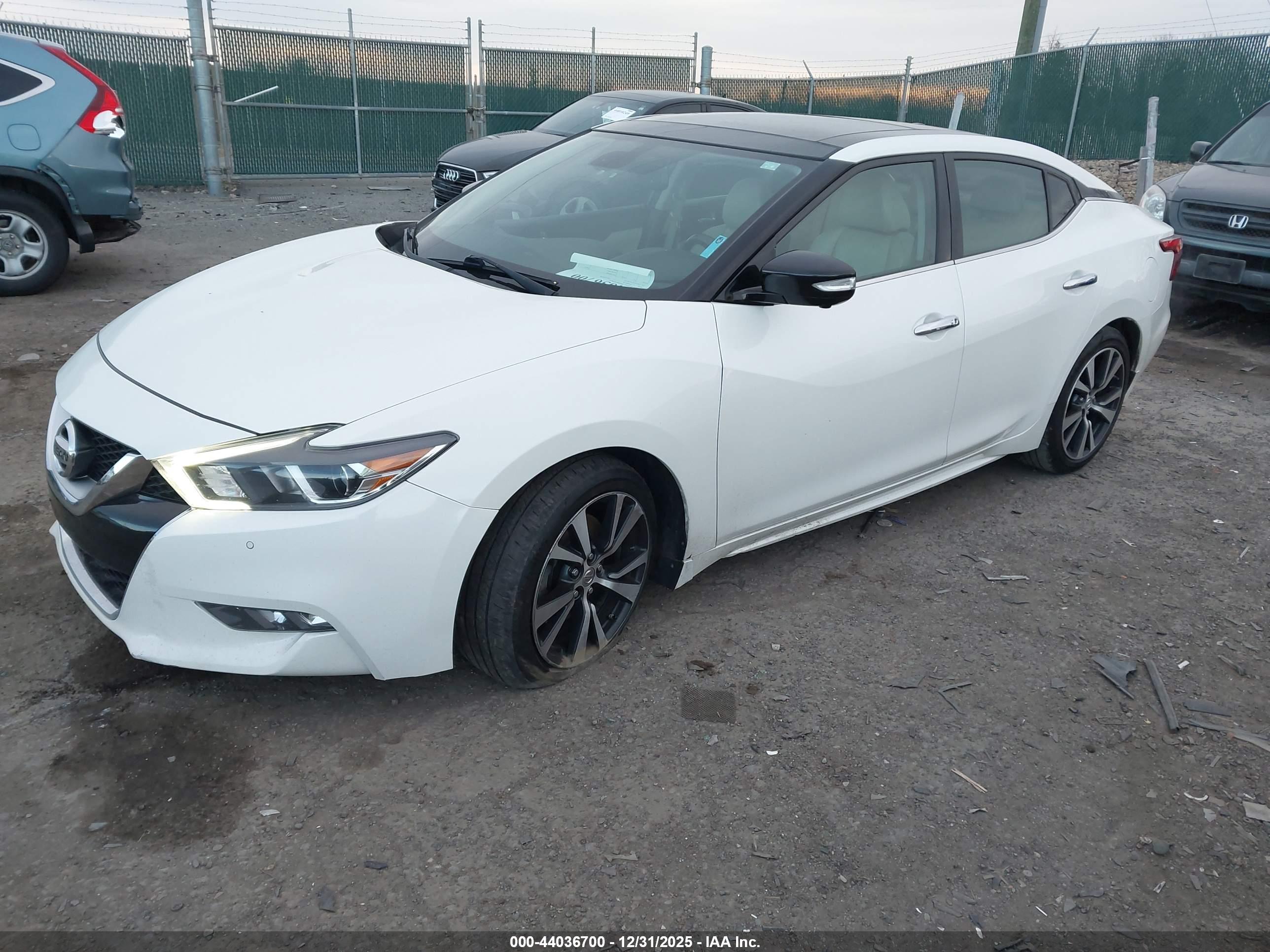 NISSAN MAXIMA image 2