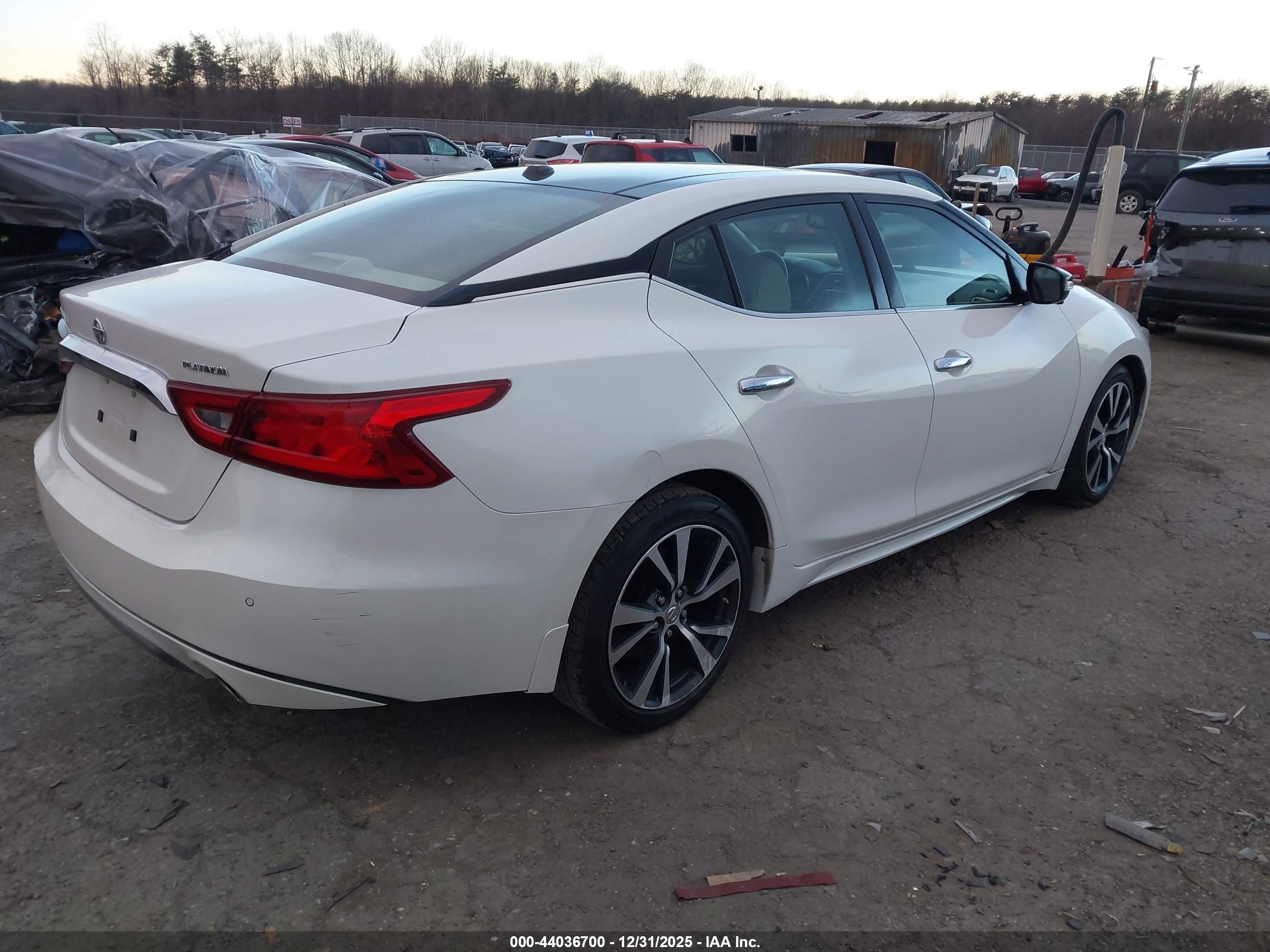 NISSAN MAXIMA image 4