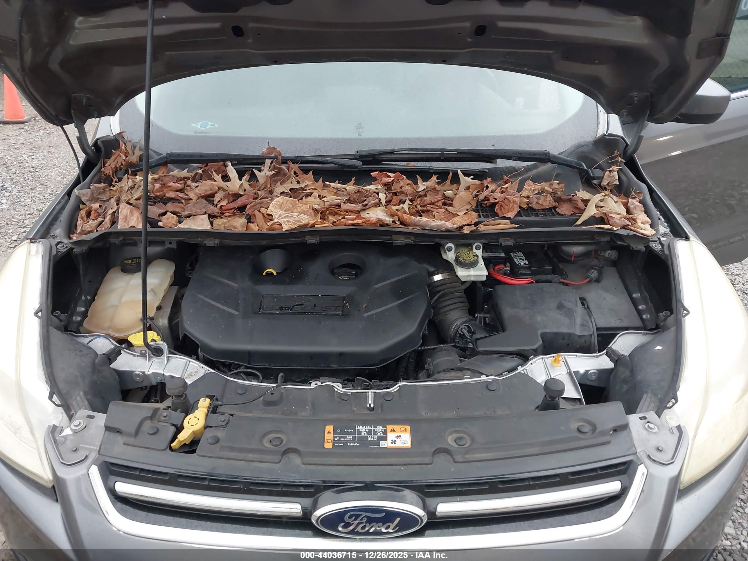 FORD ESCAPE image 10