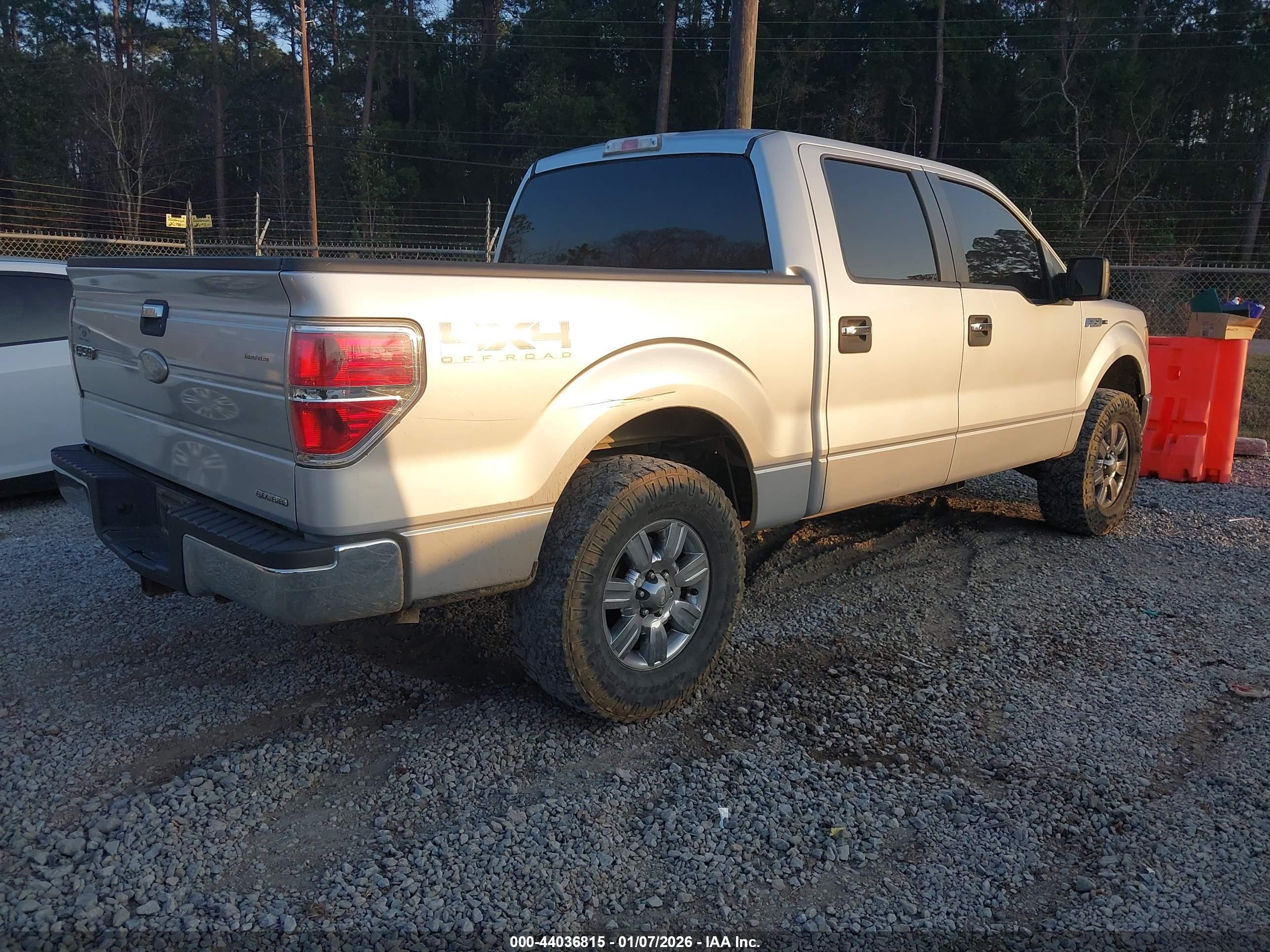 FORD F-150 image 4
