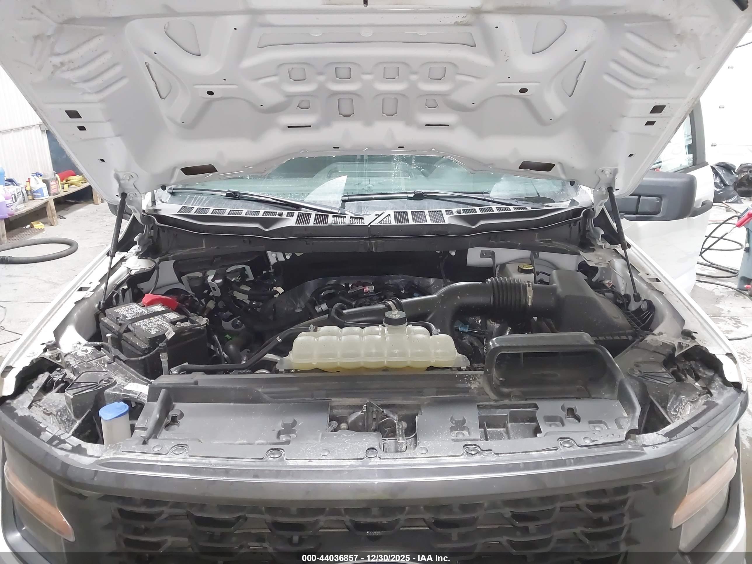 FORD F-150 image 10