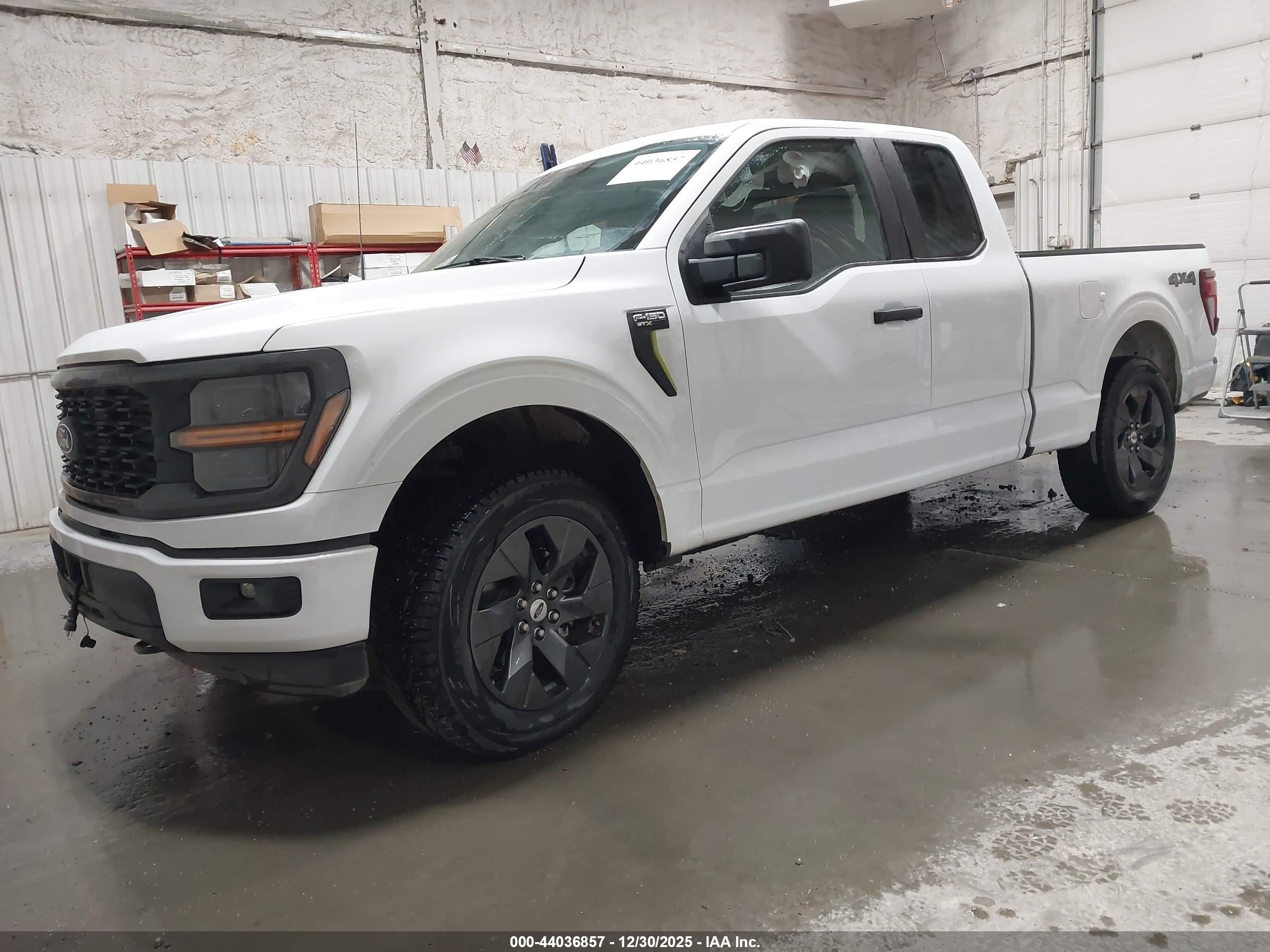 FORD F-150 image 2