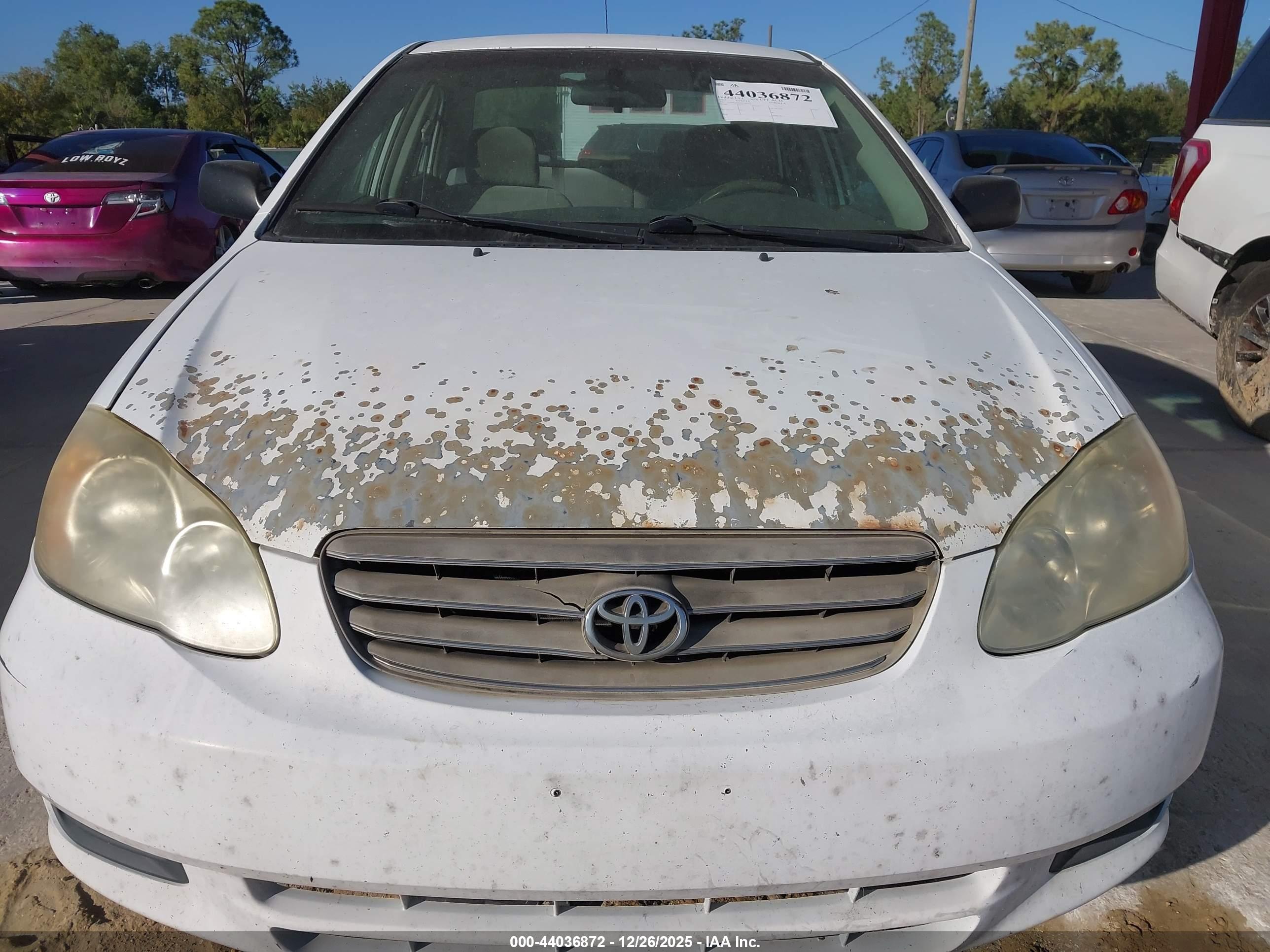 TOYOTA COROLLA image 6