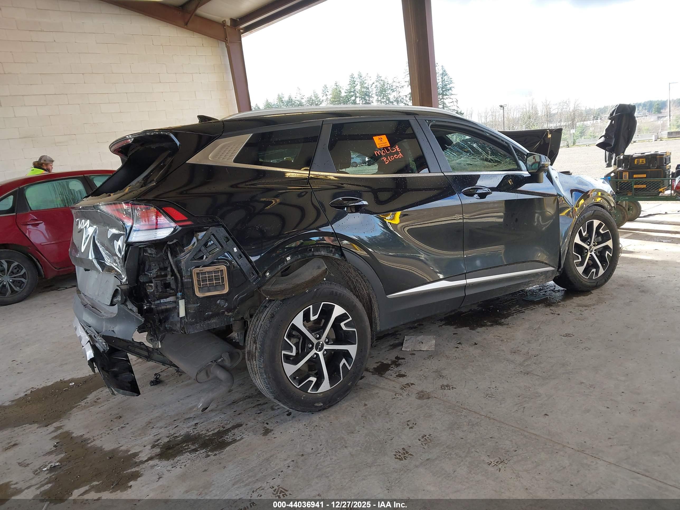 KIA SPORTAGE image 4