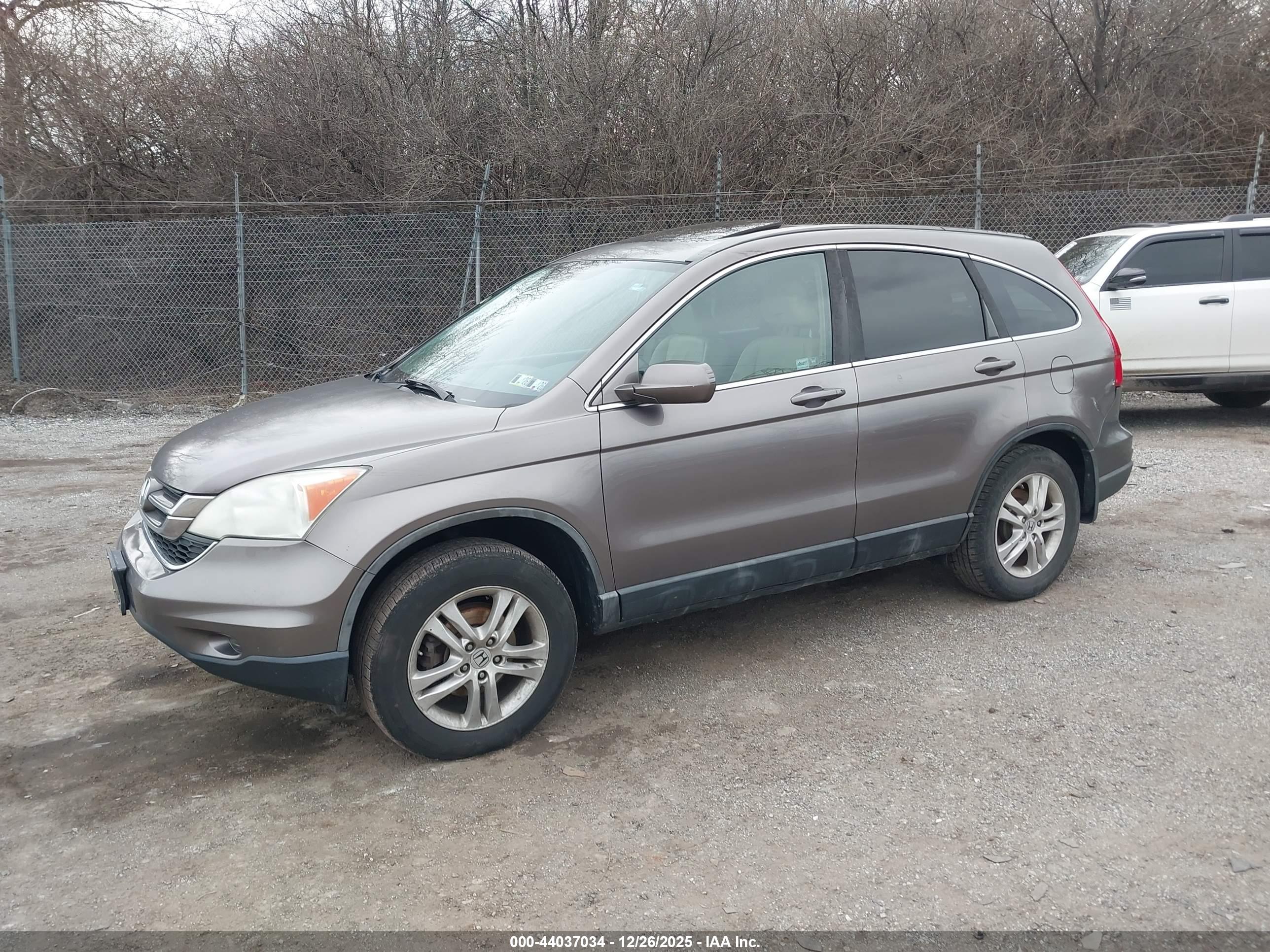 HONDA CR-V image 2