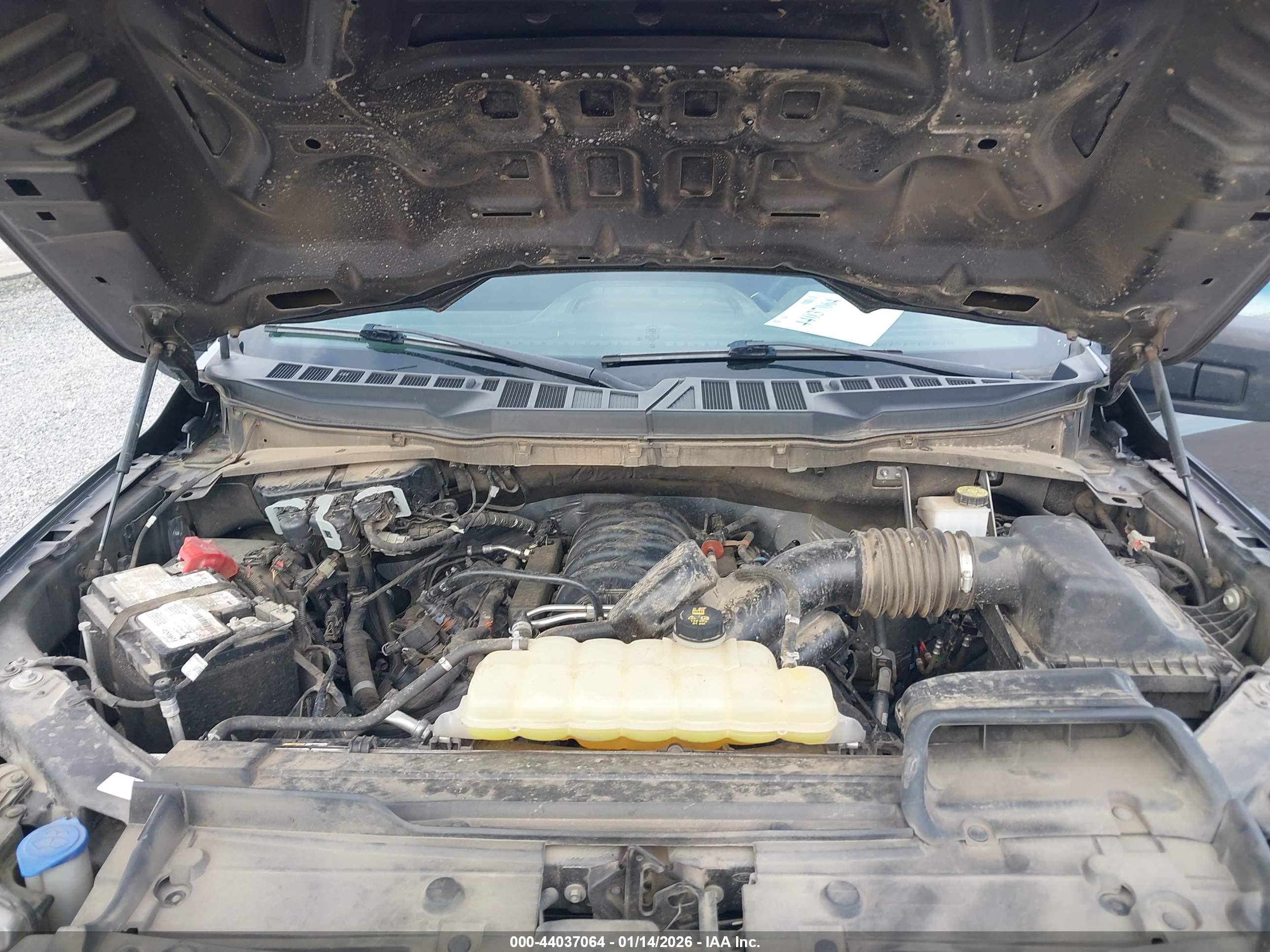 FORD F-150 image 10
