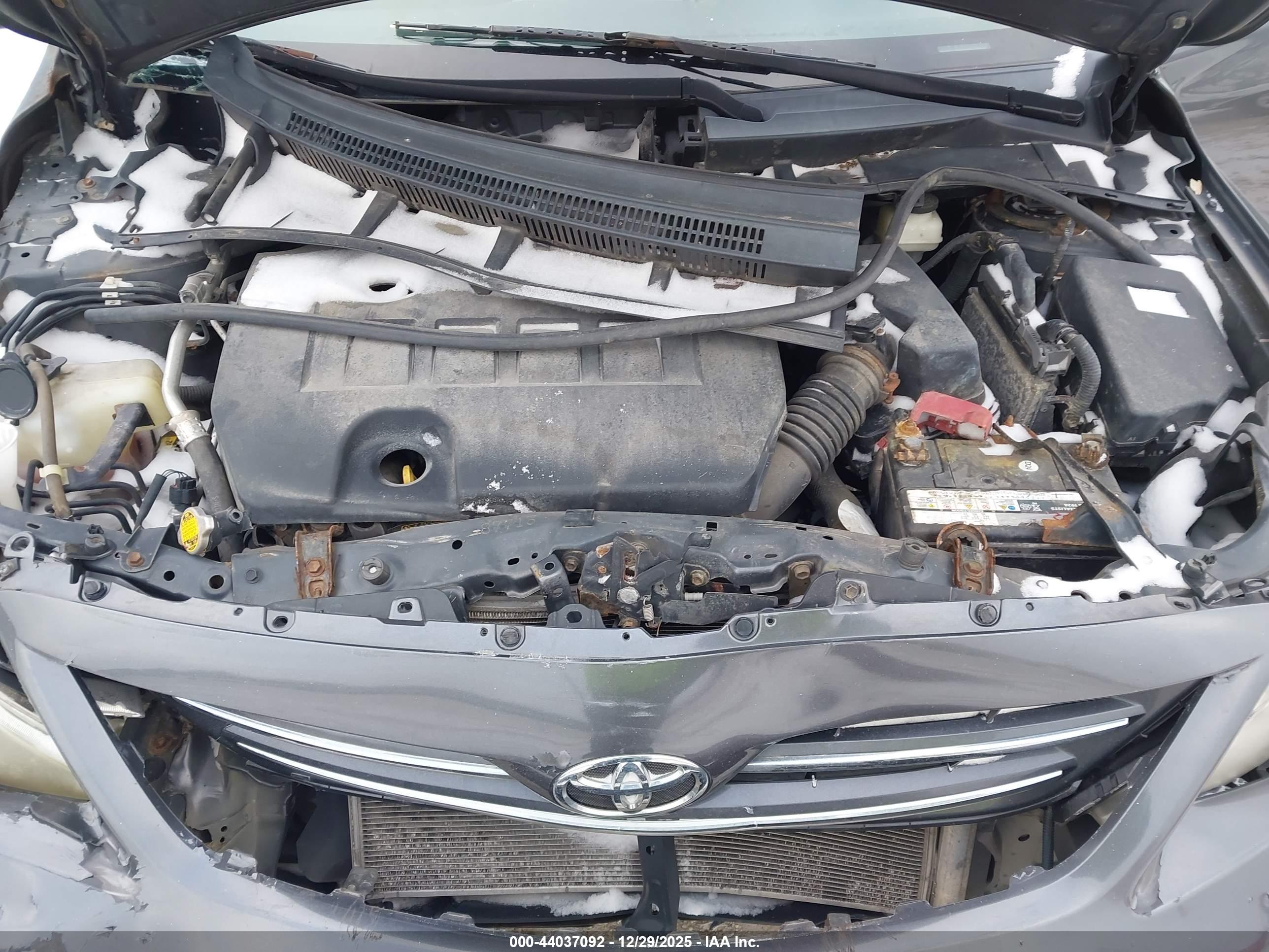 TOYOTA COROLLA image 10