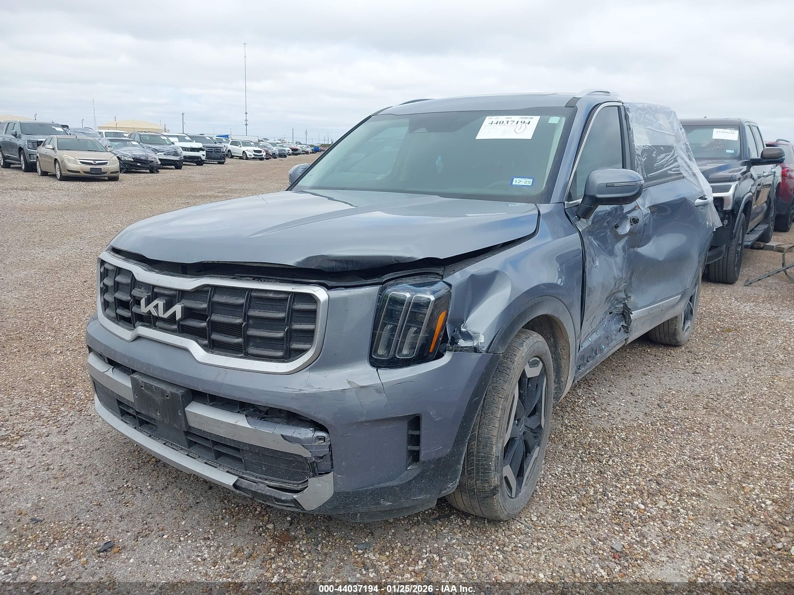 KIA TELLURIDE image 2
