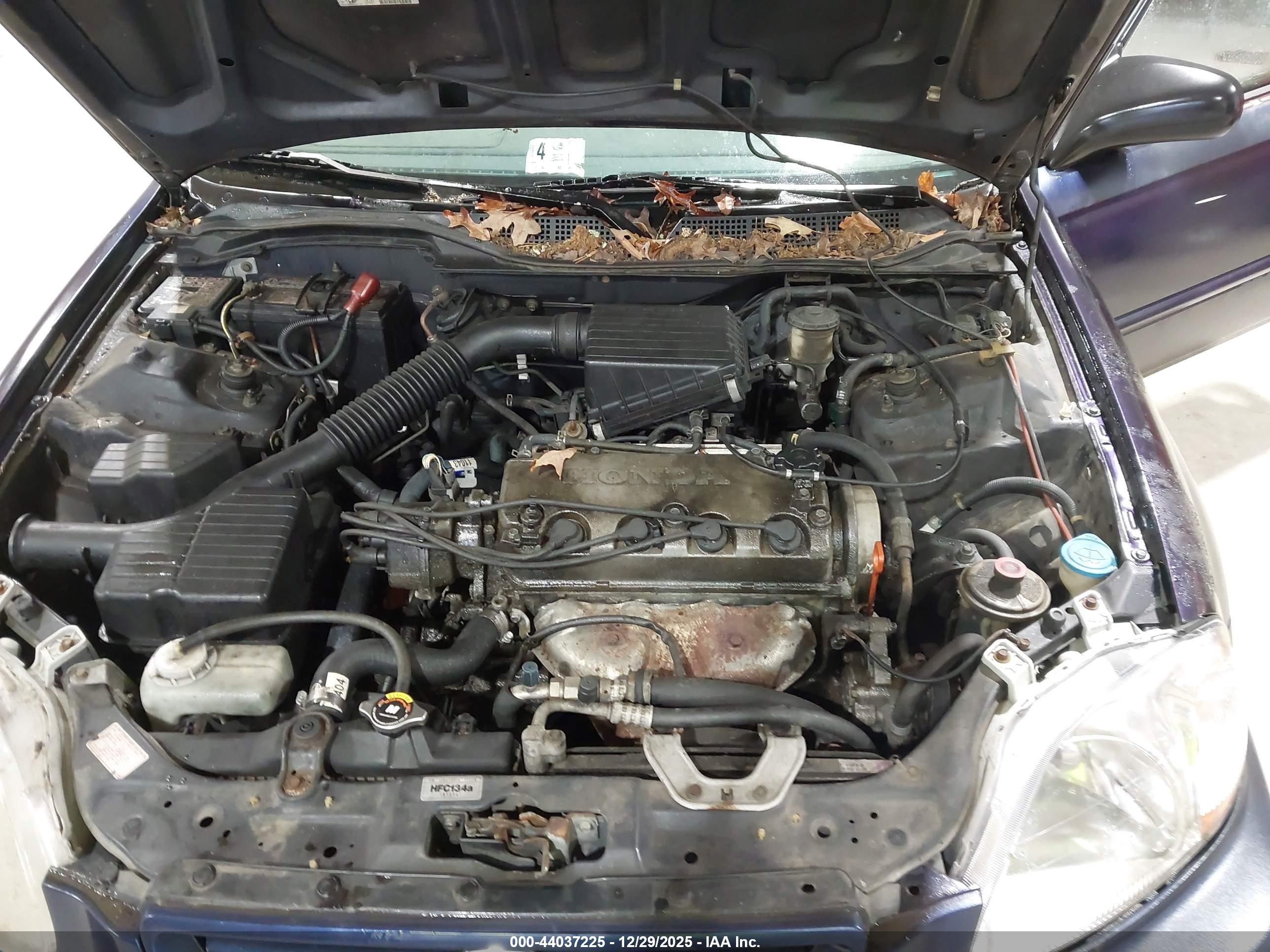 HONDA CIVIC image 10