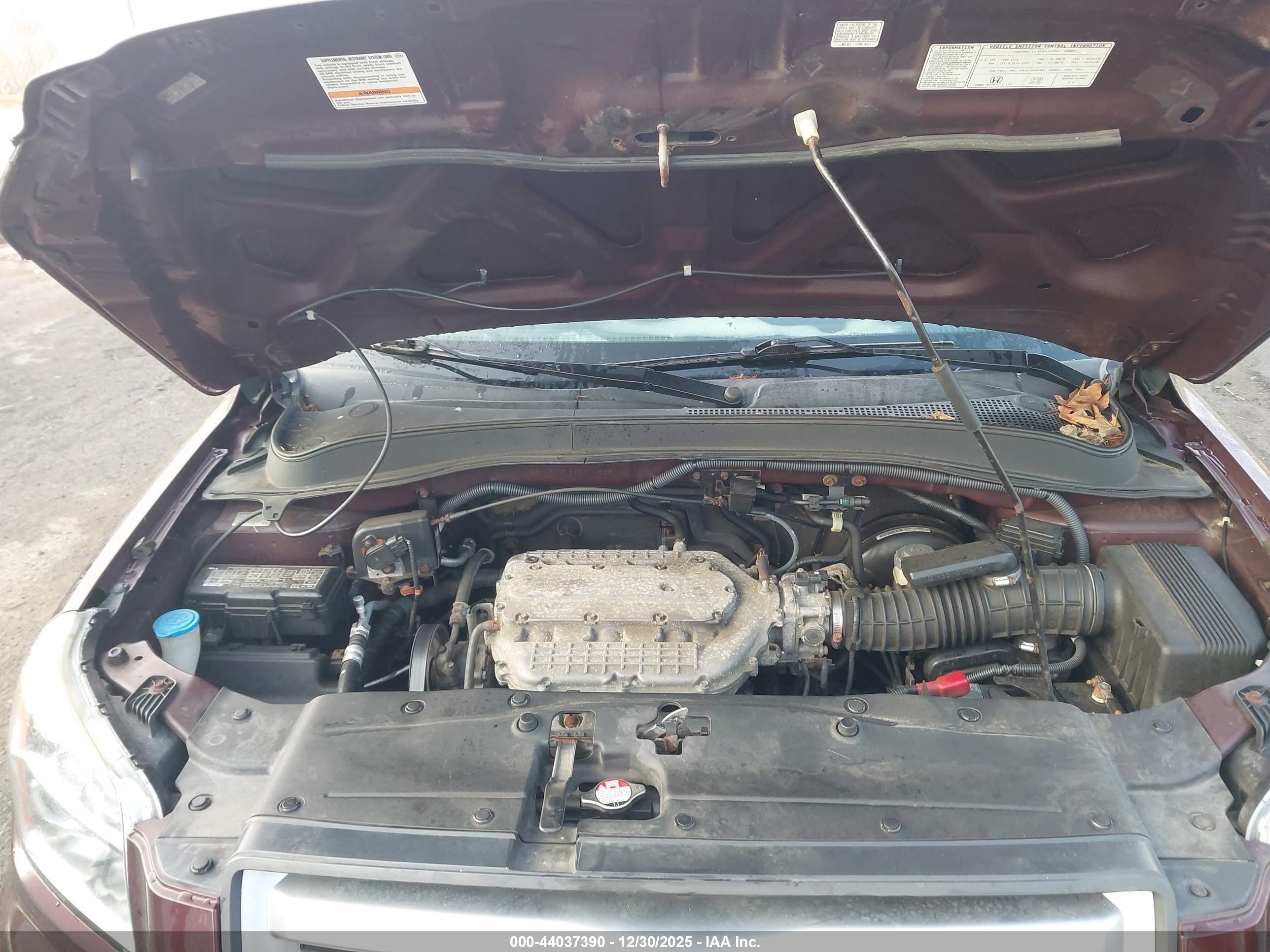 HONDA PILOT image 10