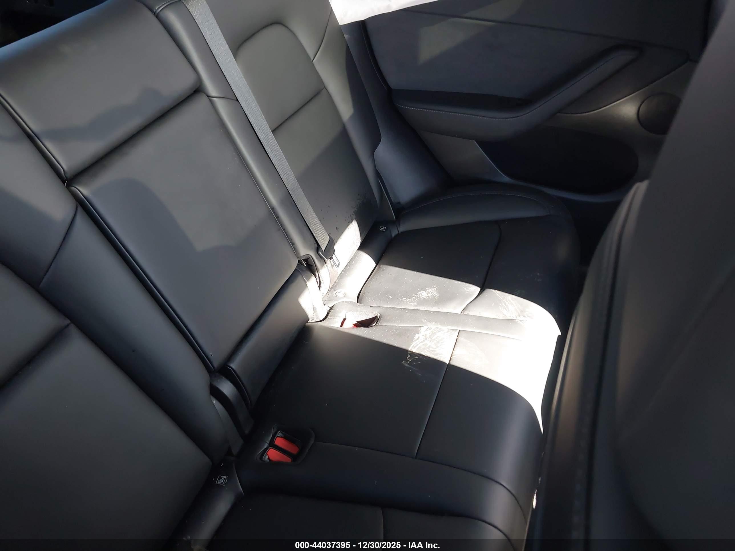 TESLA MODEL image 8
