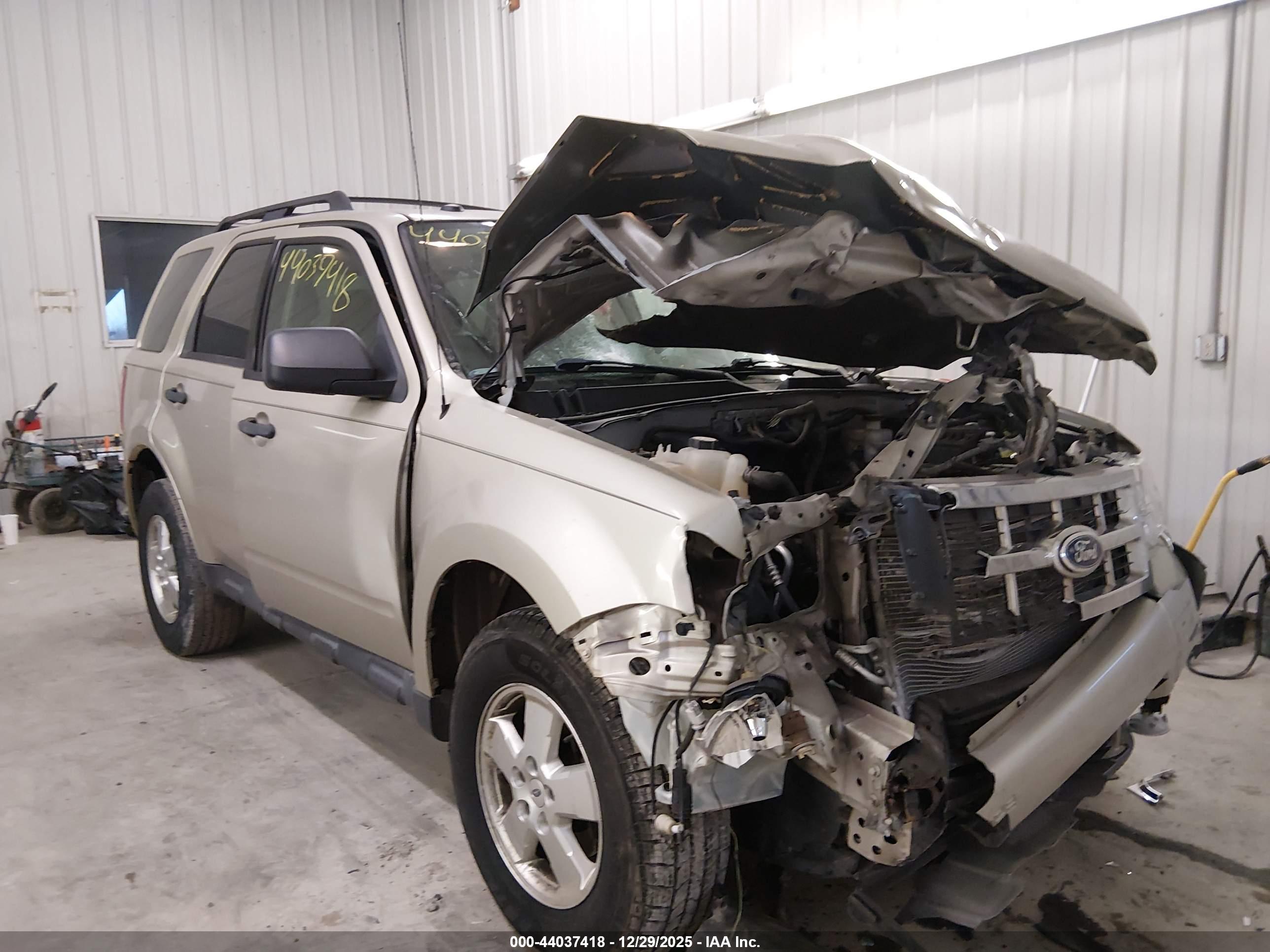 FORD ESCAPE image 6