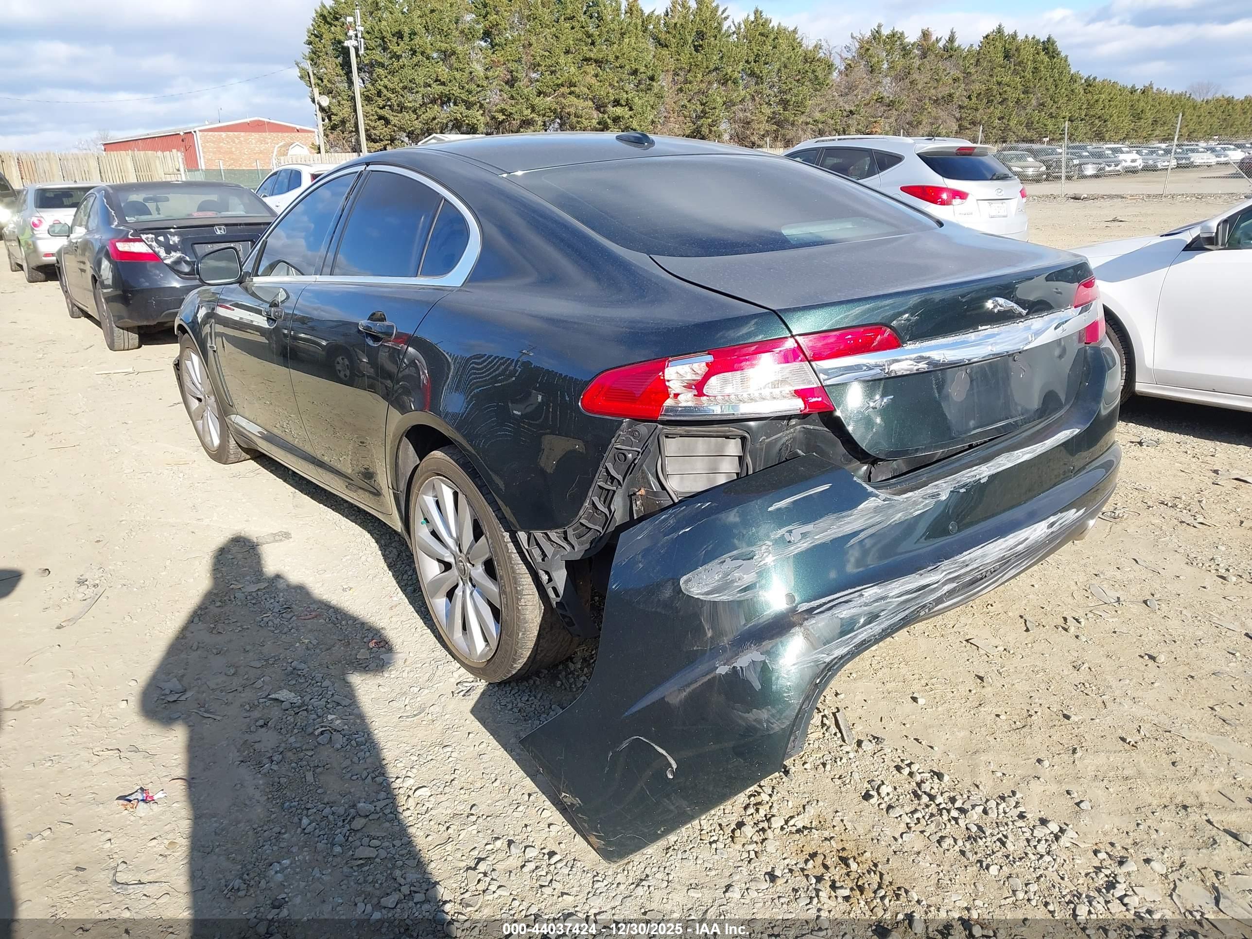 JAGUAR XF image 3